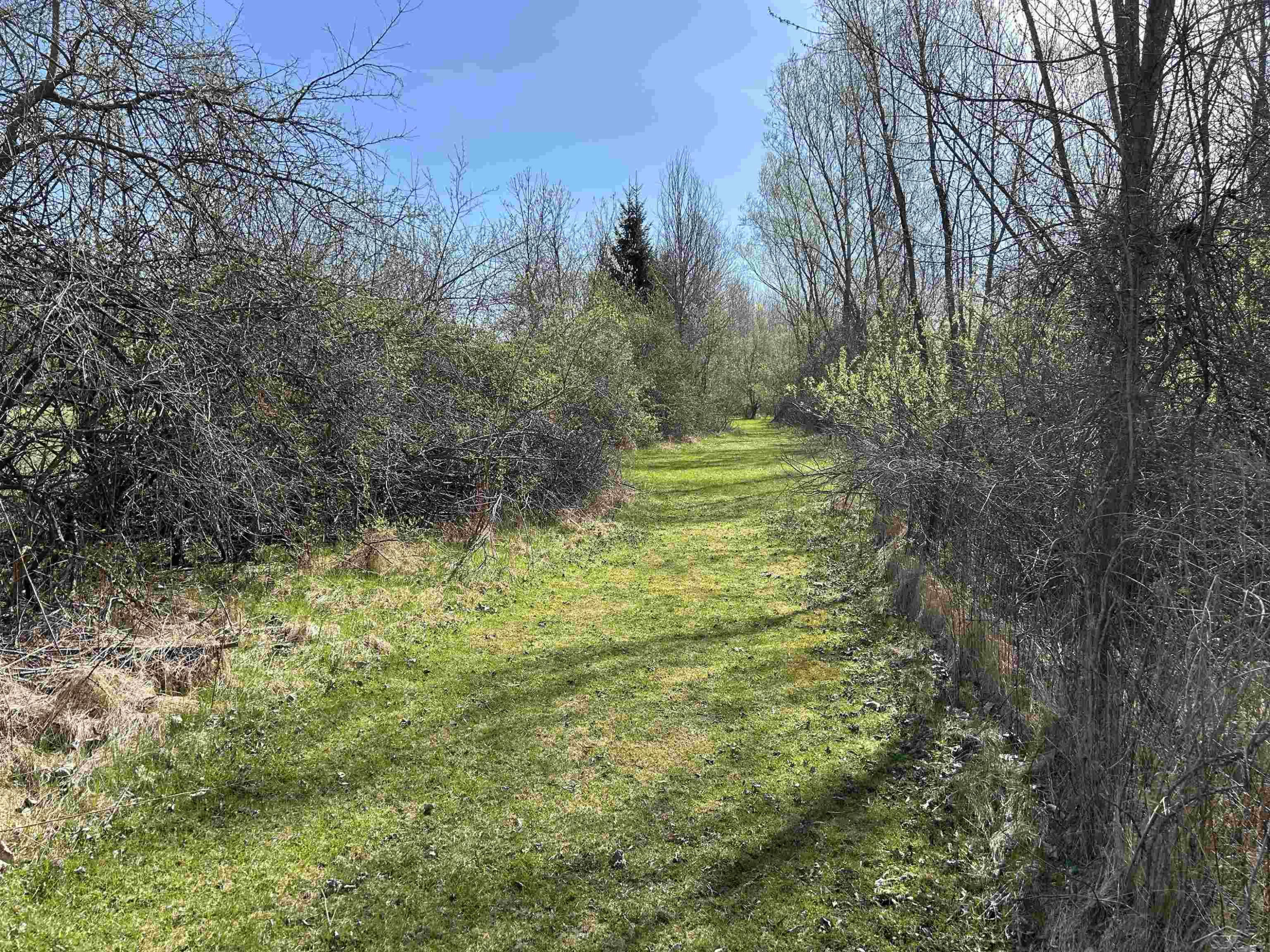 2565 S Center Road, Saginaw, MI 48609 — Photo 16