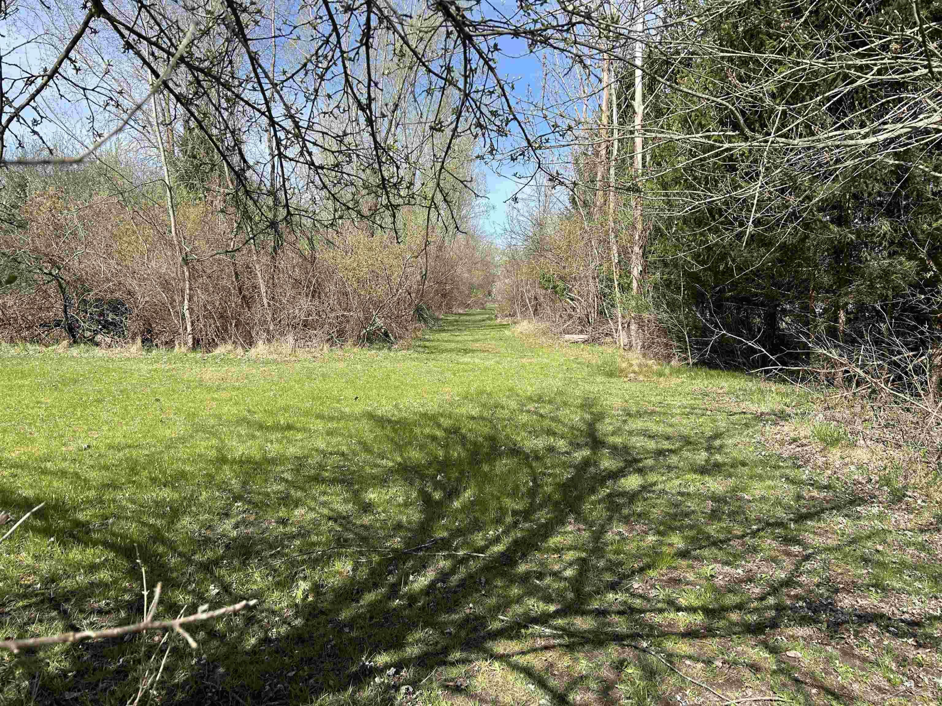 2565 S Center Road, Saginaw, MI 48609 — Photo 18
