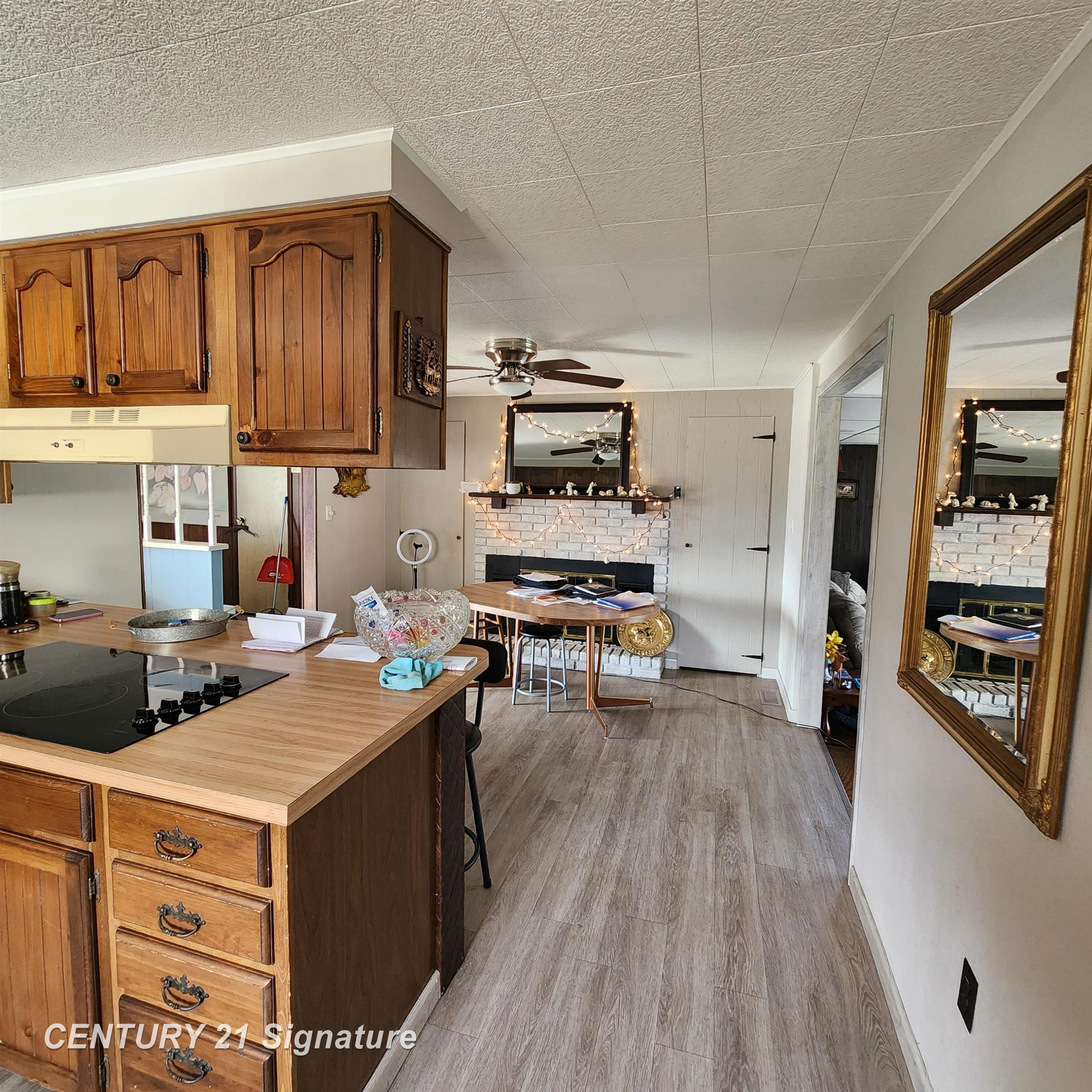 15113 Corunna Road, Chesaning, MI 48616 — Photo 5