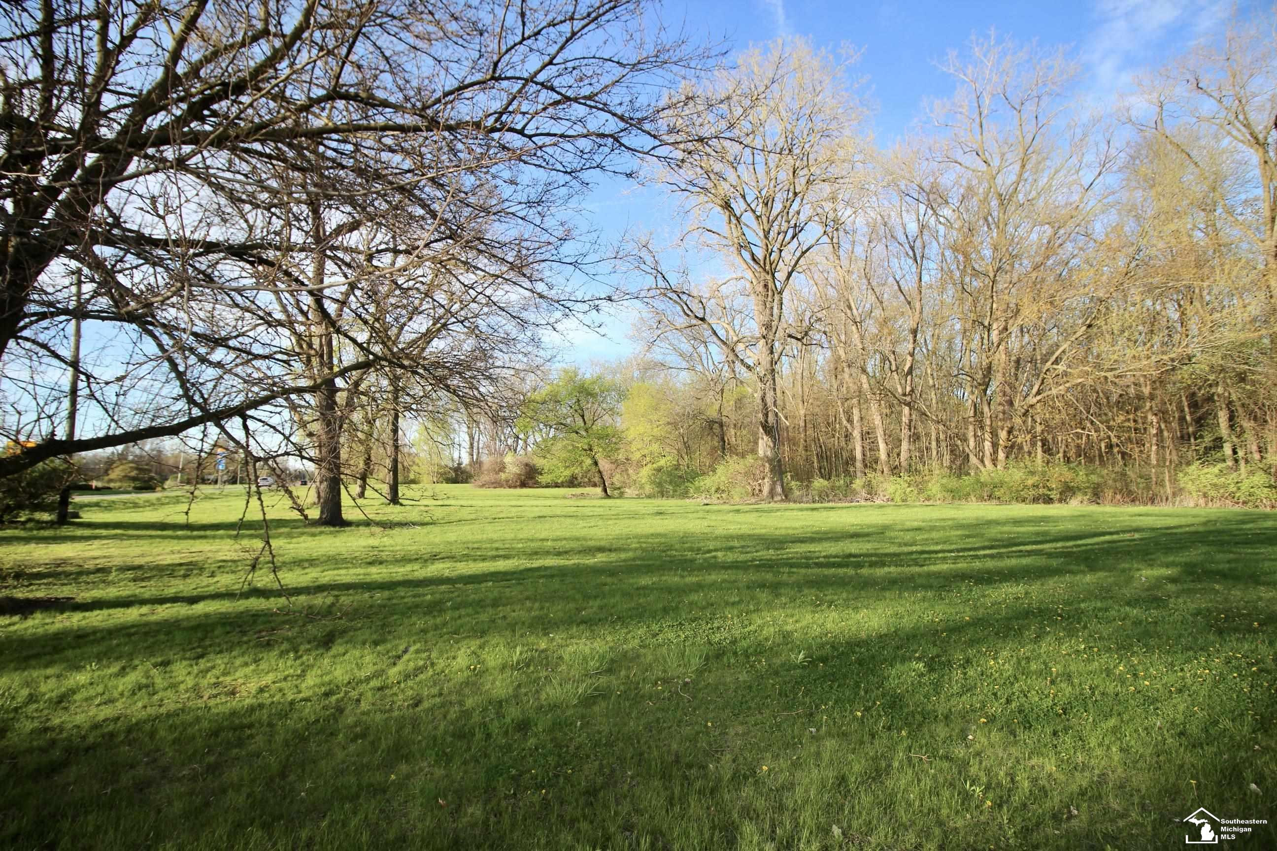 00 N Monroe Street, MI 48162 — Photo 2