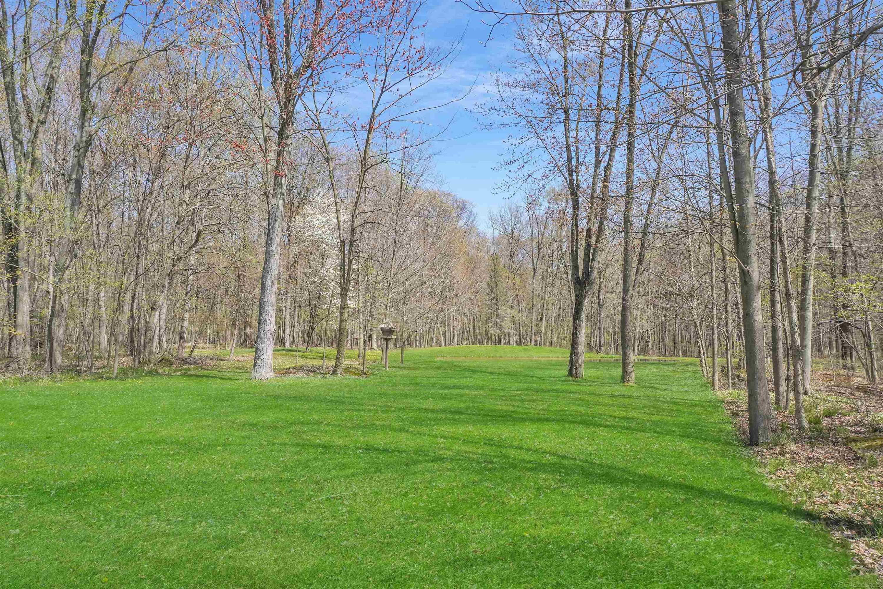 4253 Mayer Road, MI — Photo 43