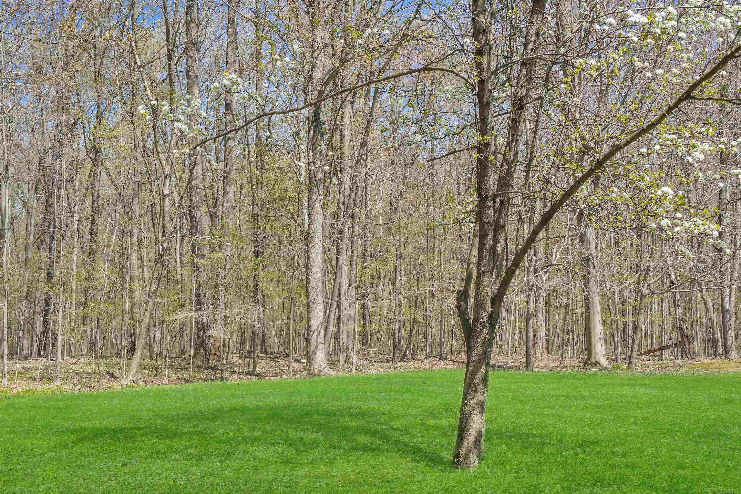 4253 Mayer Road, MI — Photo 47