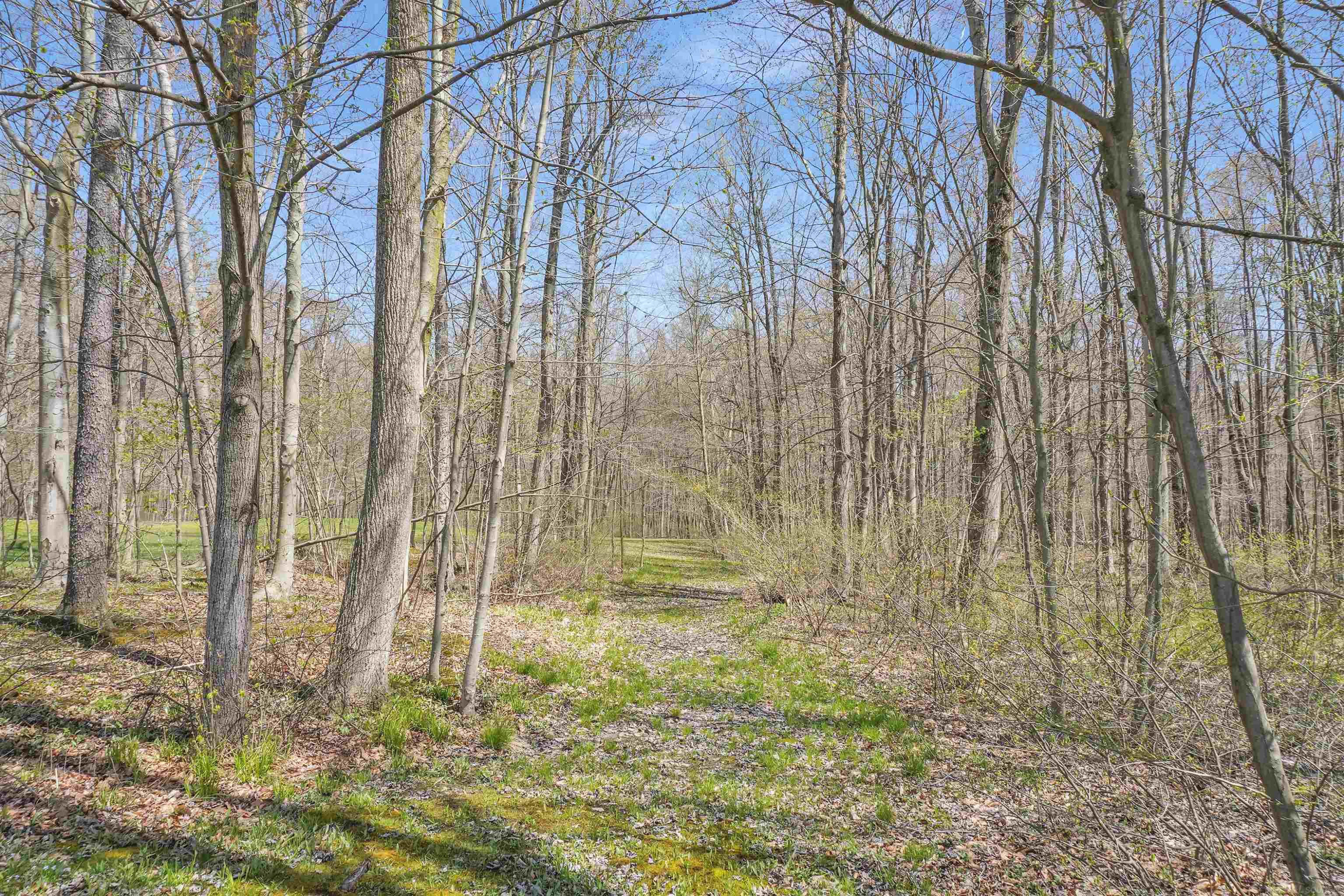 4253 Mayer Road, MI — Photo 53