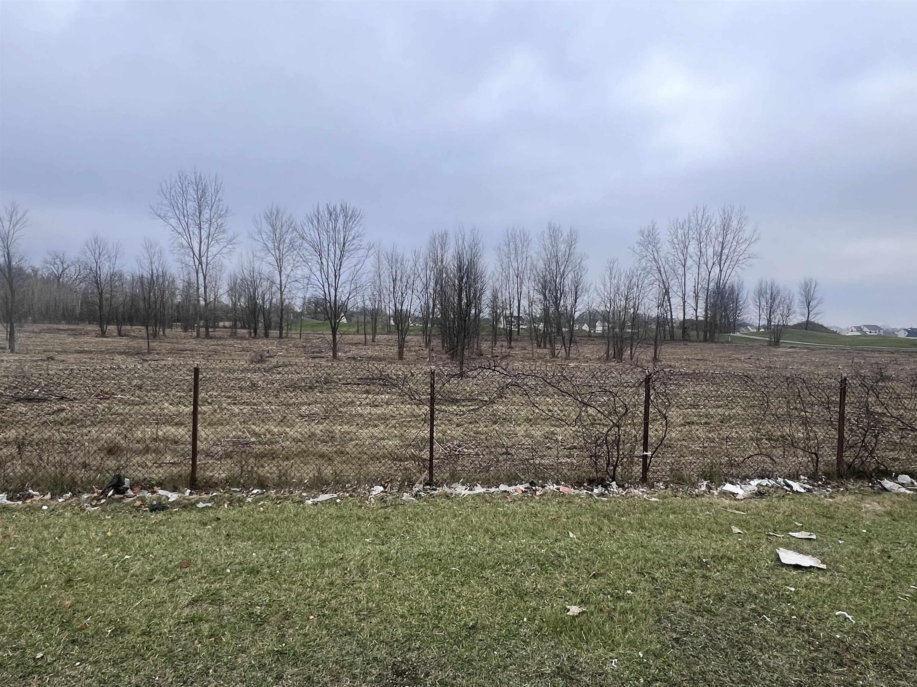 0 Merriman Road, MI 48174 — Photo 4