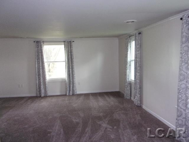 1116 Seneca Street, Adrian, MI 49221 — Photo 16