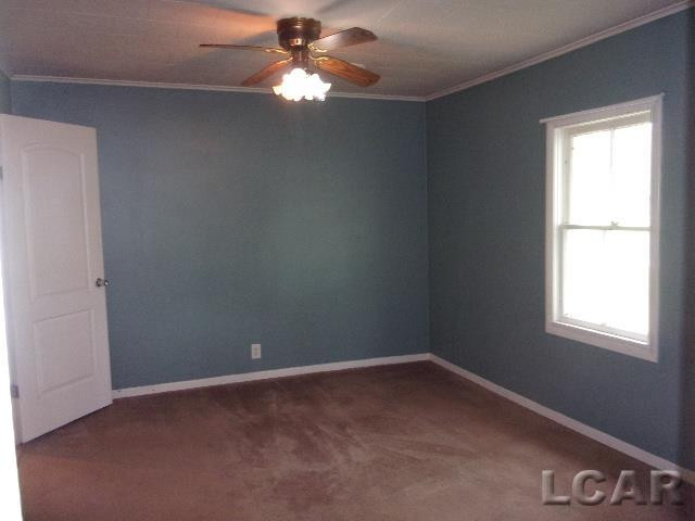 1116 Seneca Street, Adrian, MI 49221 — Photo 17