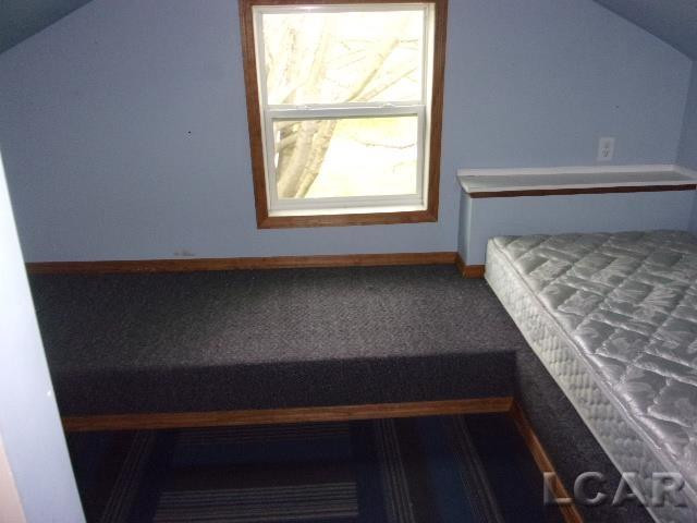 1116 Seneca Street, Adrian, MI 49221 — Photo 25