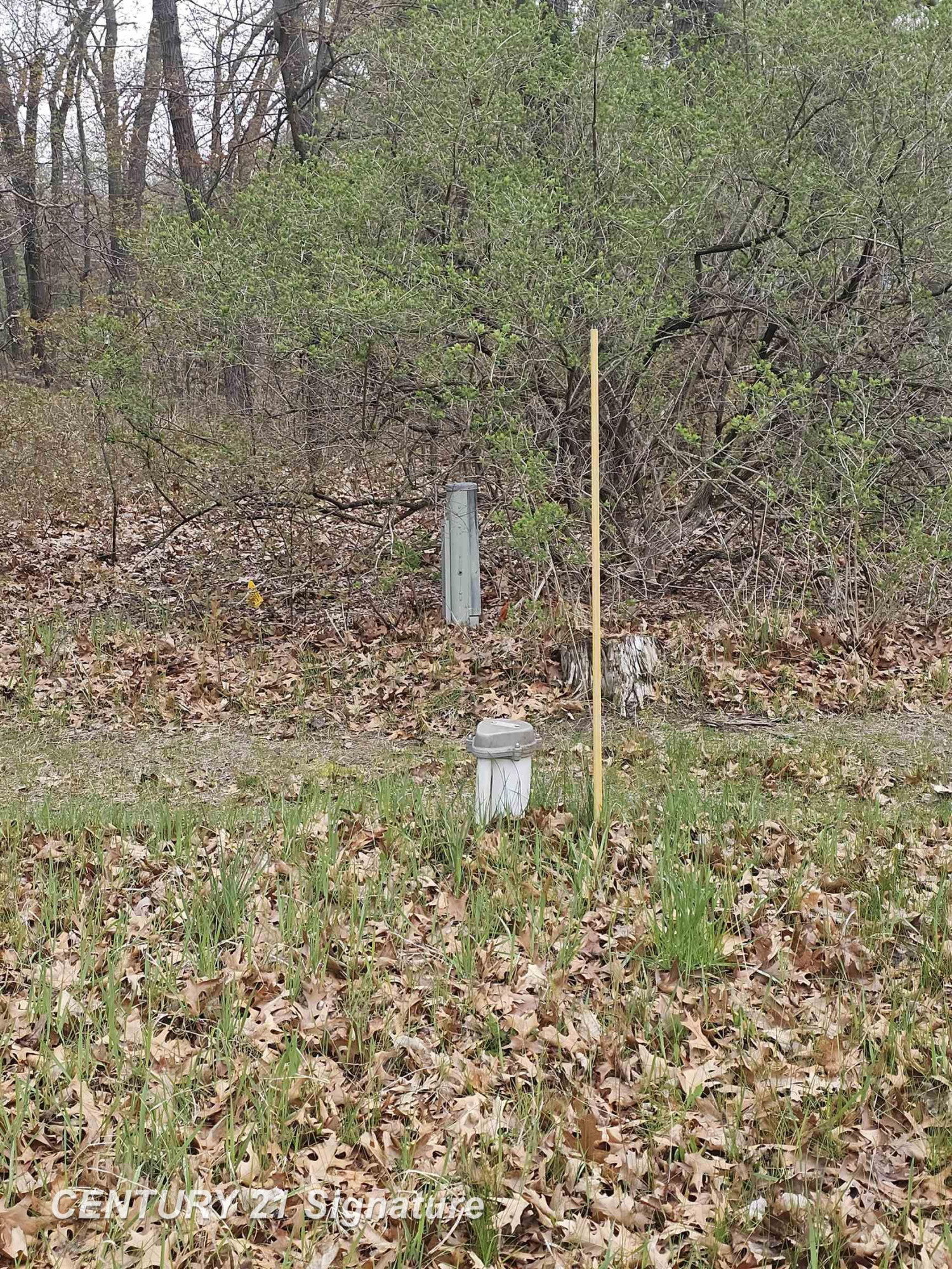 4562 Trail Road, Caseville, MI 48725 — Photo 7