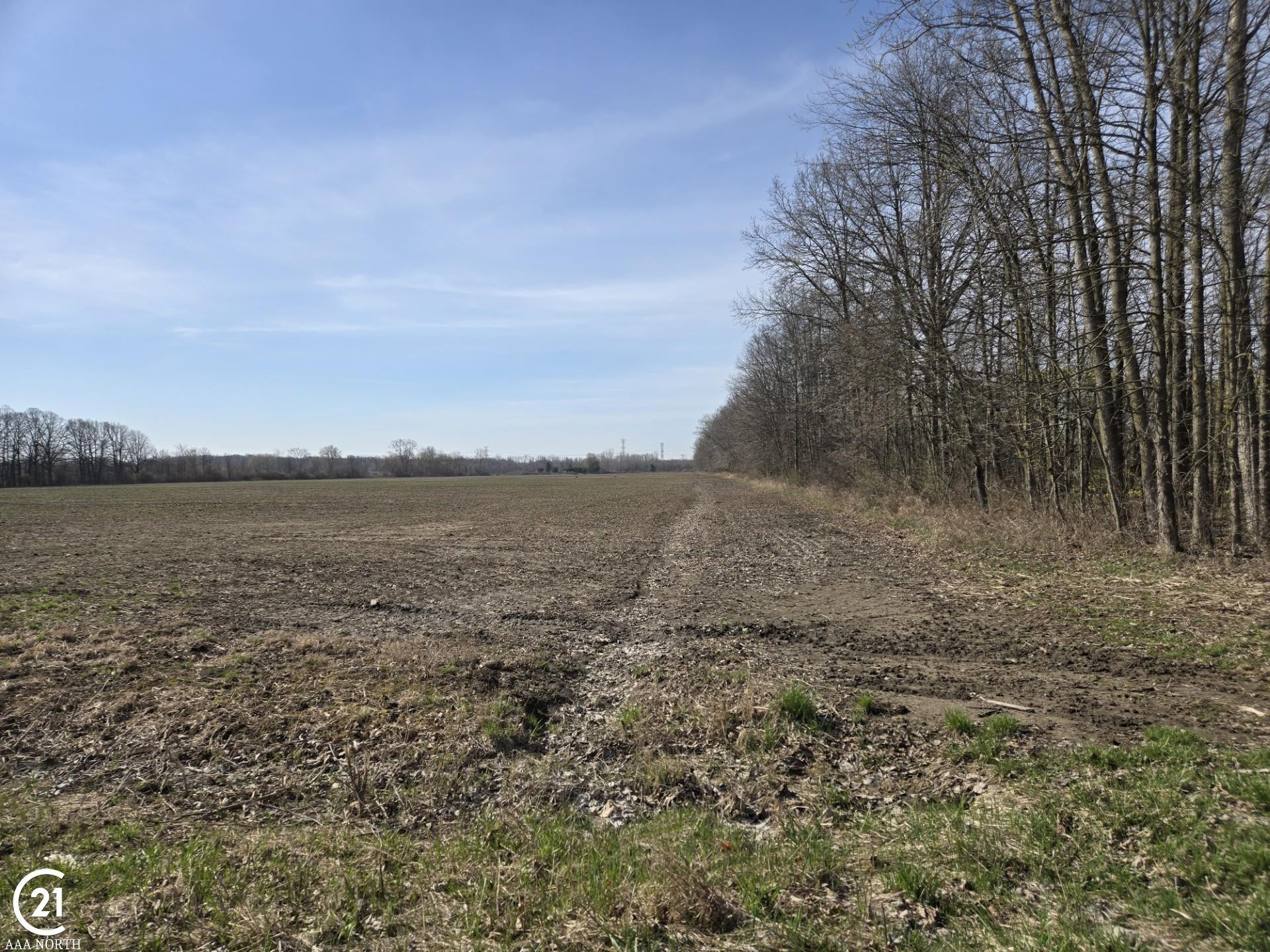 0 Meskill (Lot D) Road, MI — Photo 2