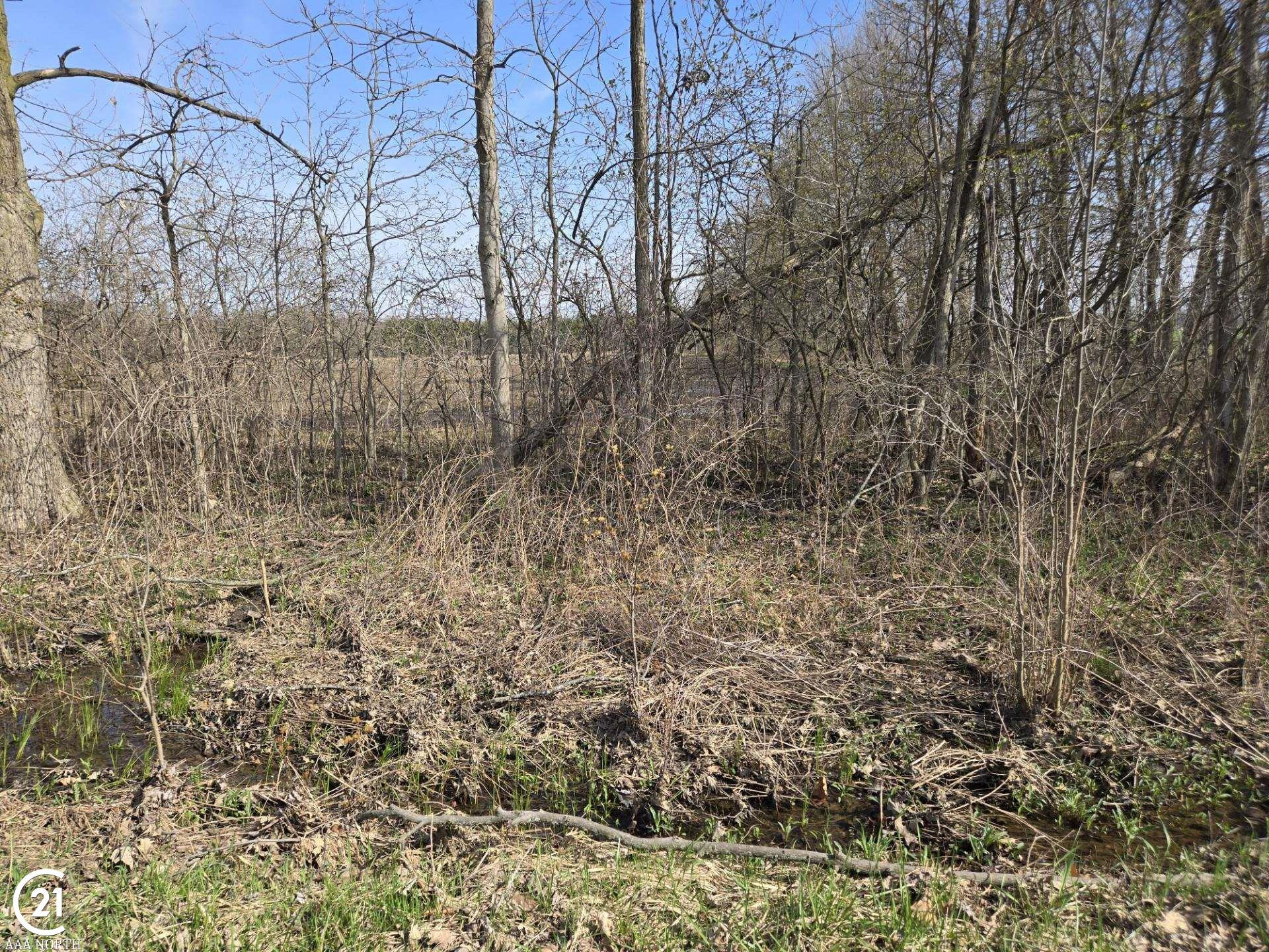 0 Meskill (Lot D) Road, MI — Photo 3