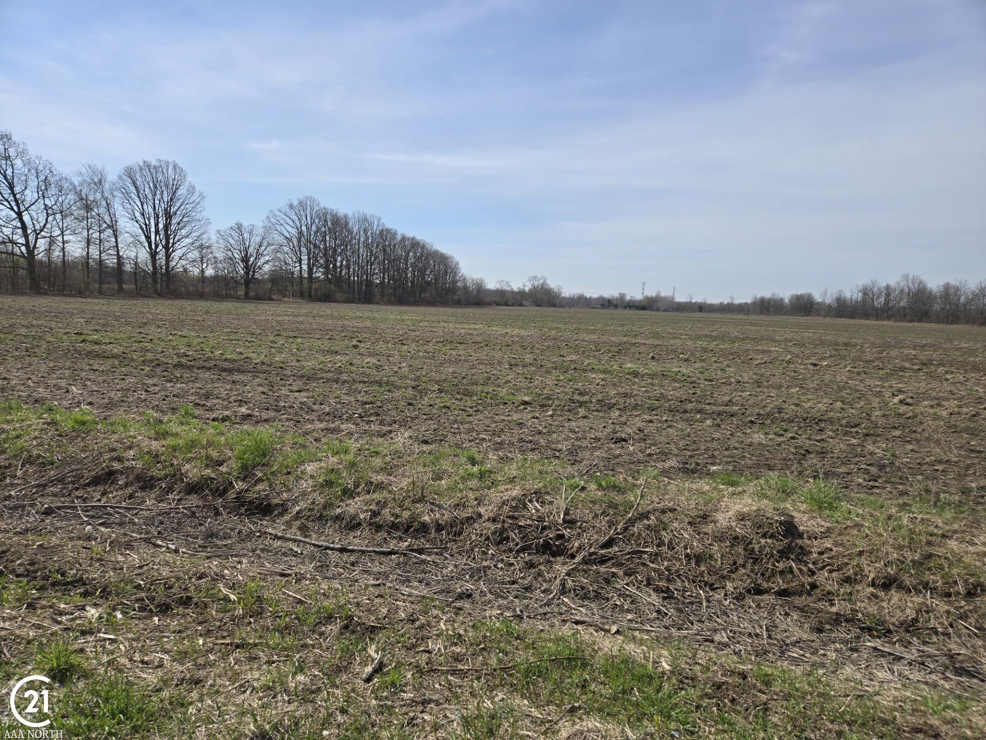 0 Meskill (Lot D) Road, MI — Photo 4