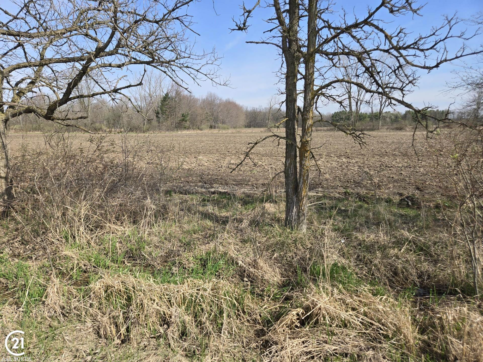 0 Meskill (Lot D) Road, MI — Photo 7