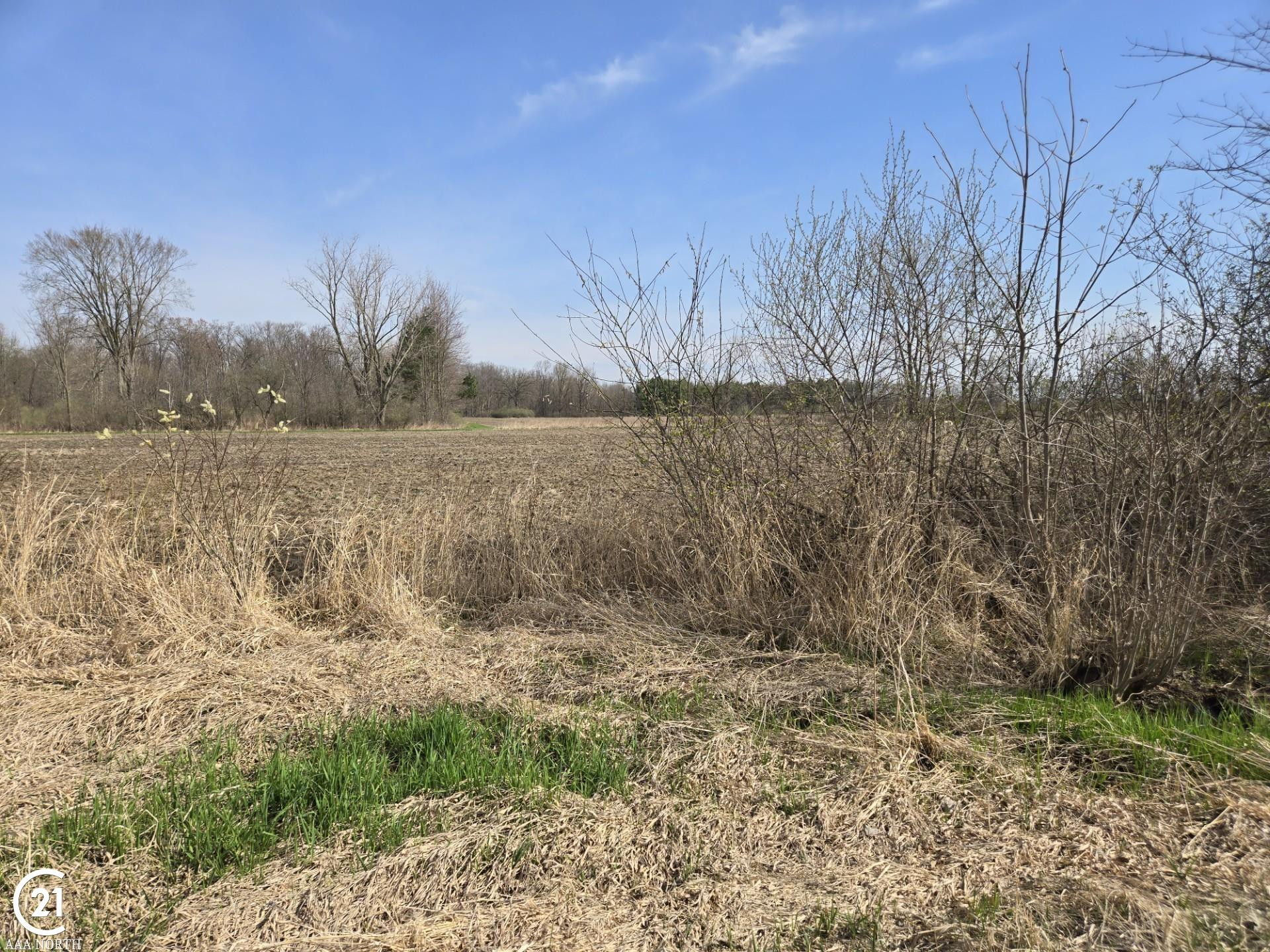 0 Meskill (Lot D) Road, MI — Photo 8