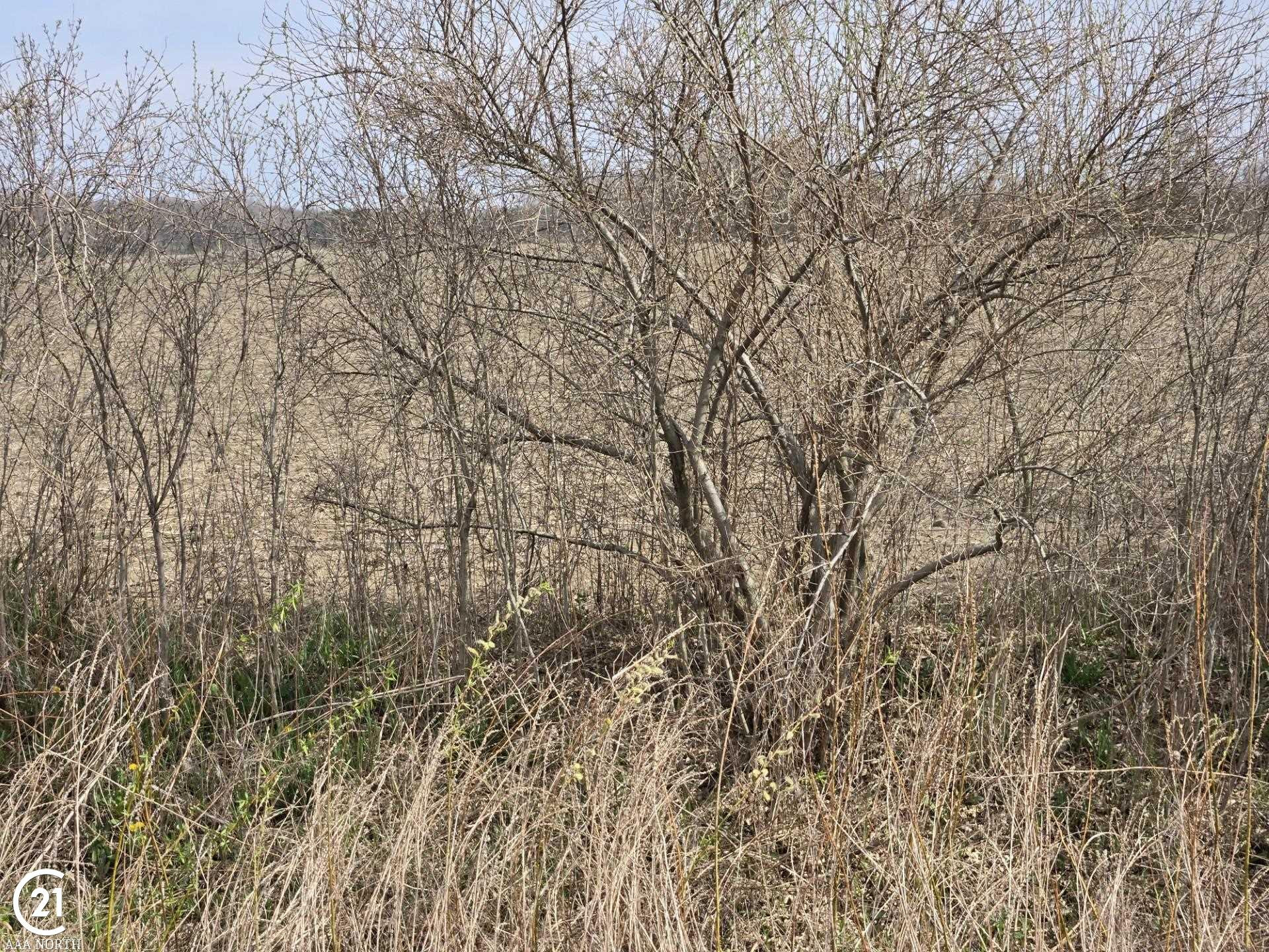 0 Meskill (Lot D) Road, MI — Photo 13
