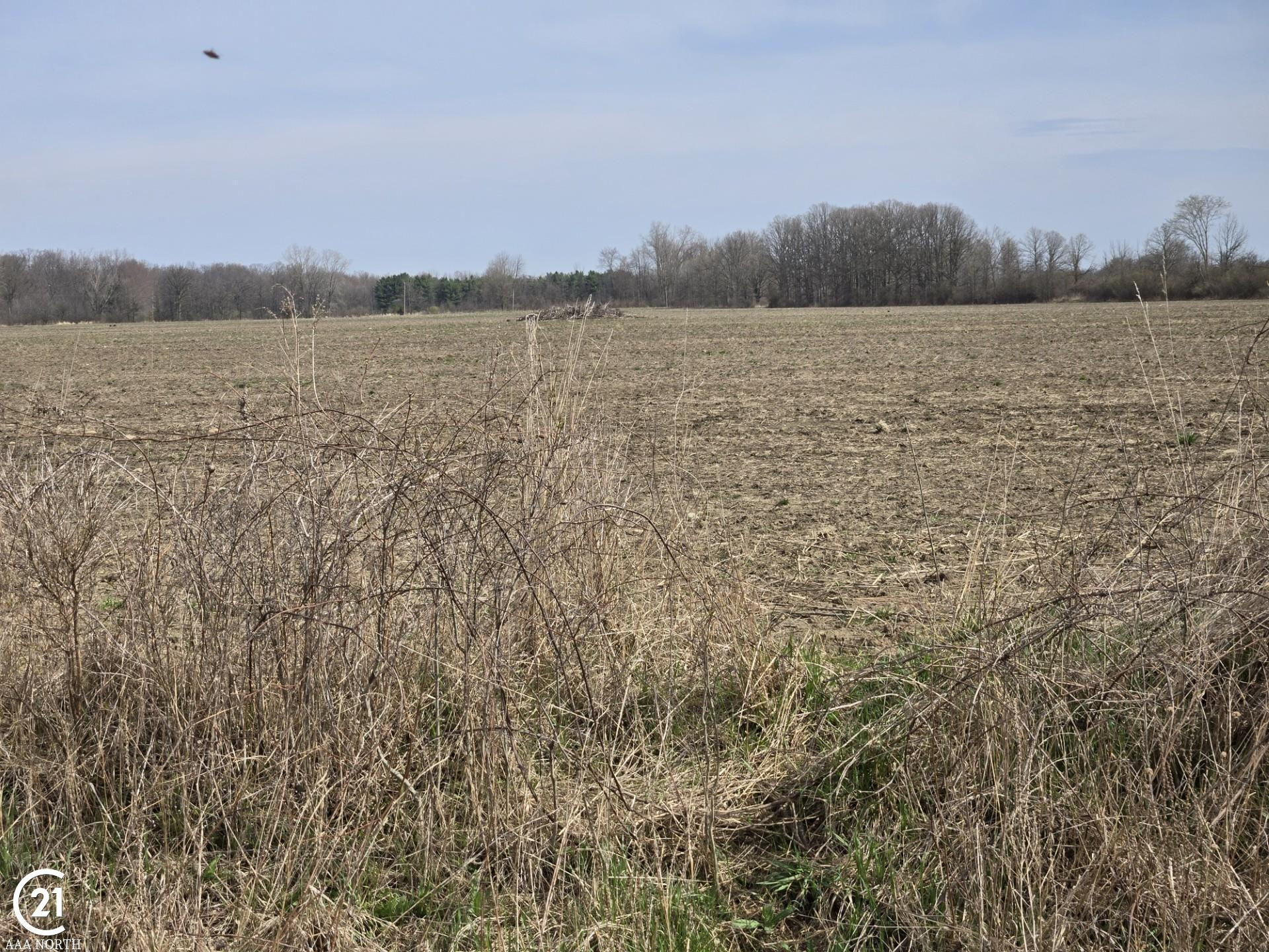 0 Meskill (Lot D) Road, MI — Photo 14