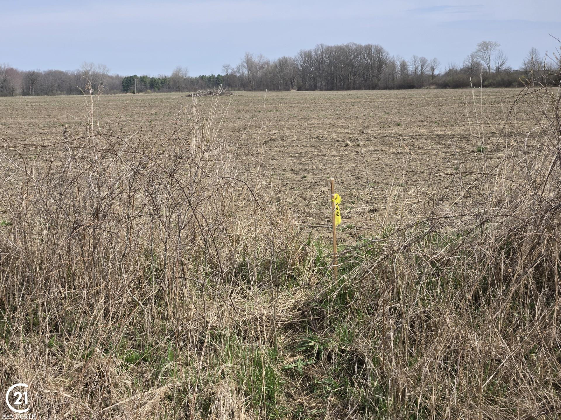 0 Meskill (Lot D) Road, MI — Photo 15