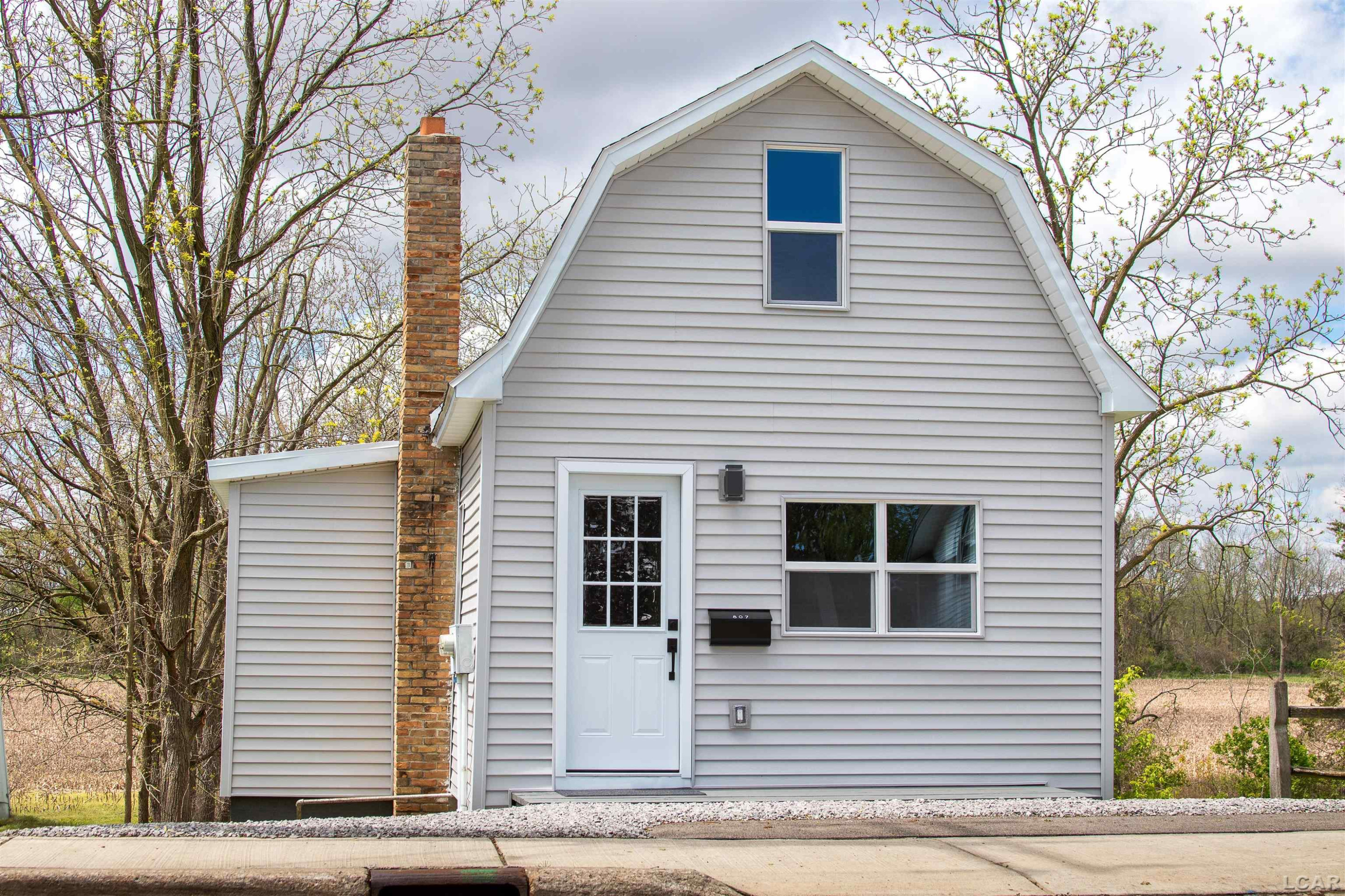 807 North Street, Morenci, MI 49256 — Photo 3
