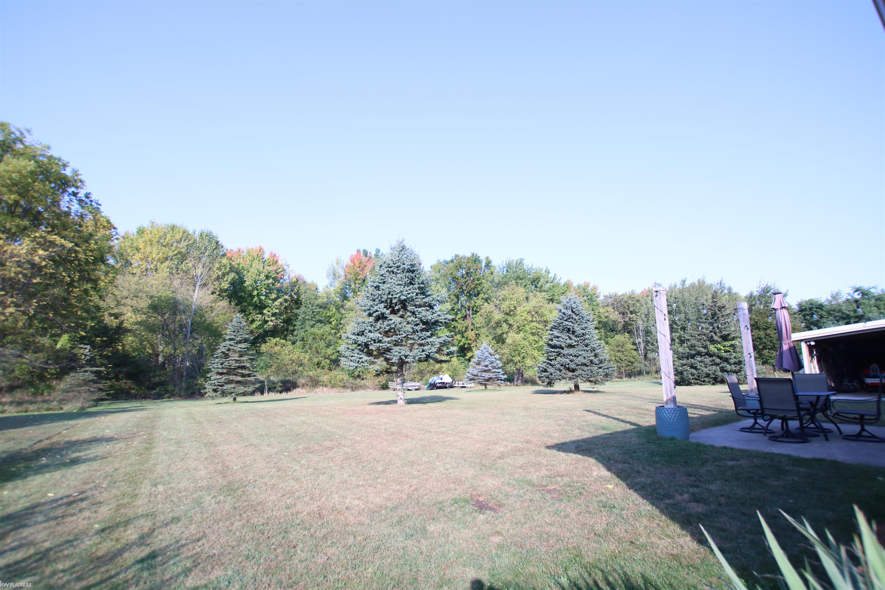 317 N 1st Street, Chesaning, MI 48616 — Photo 4