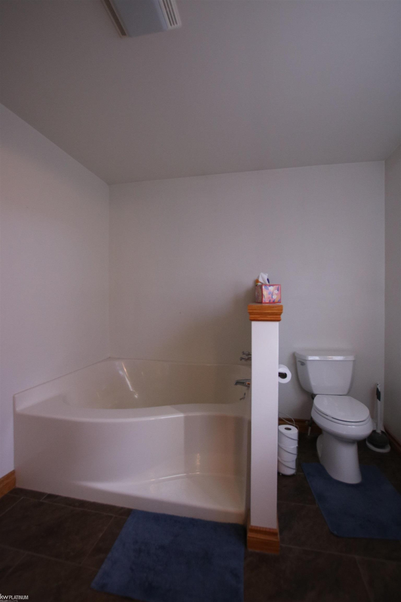 317 N 1st Street, Chesaning, MI 48616 — Photo 30