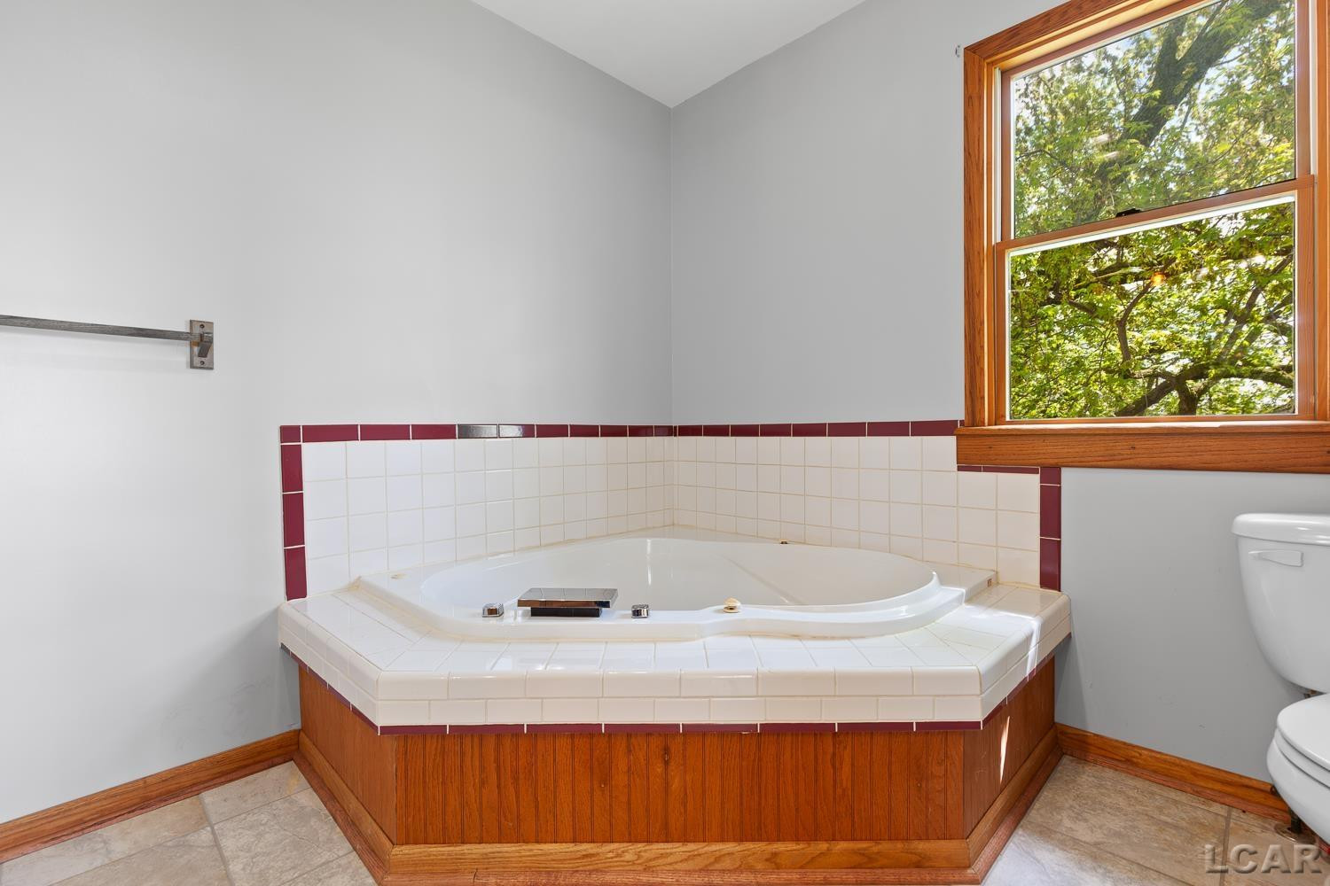 11160 W Ridgeville Road, Morenci, MI 49256 — Photo 43