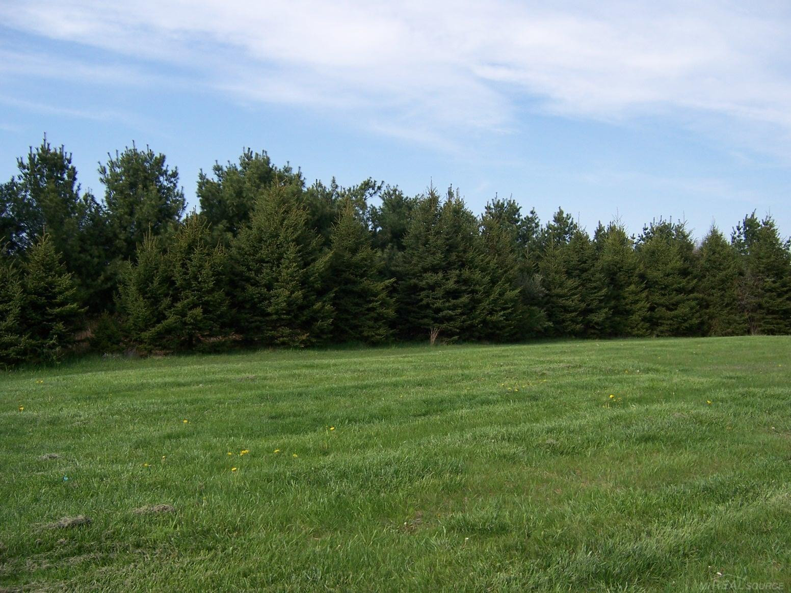 7178 Rich Road, Fostoria, MI 48435 — Photo 15