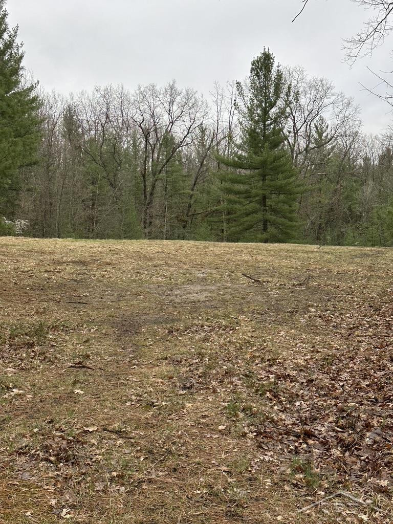 VL Pineview Court, Alger, MI 48610 — front exterior