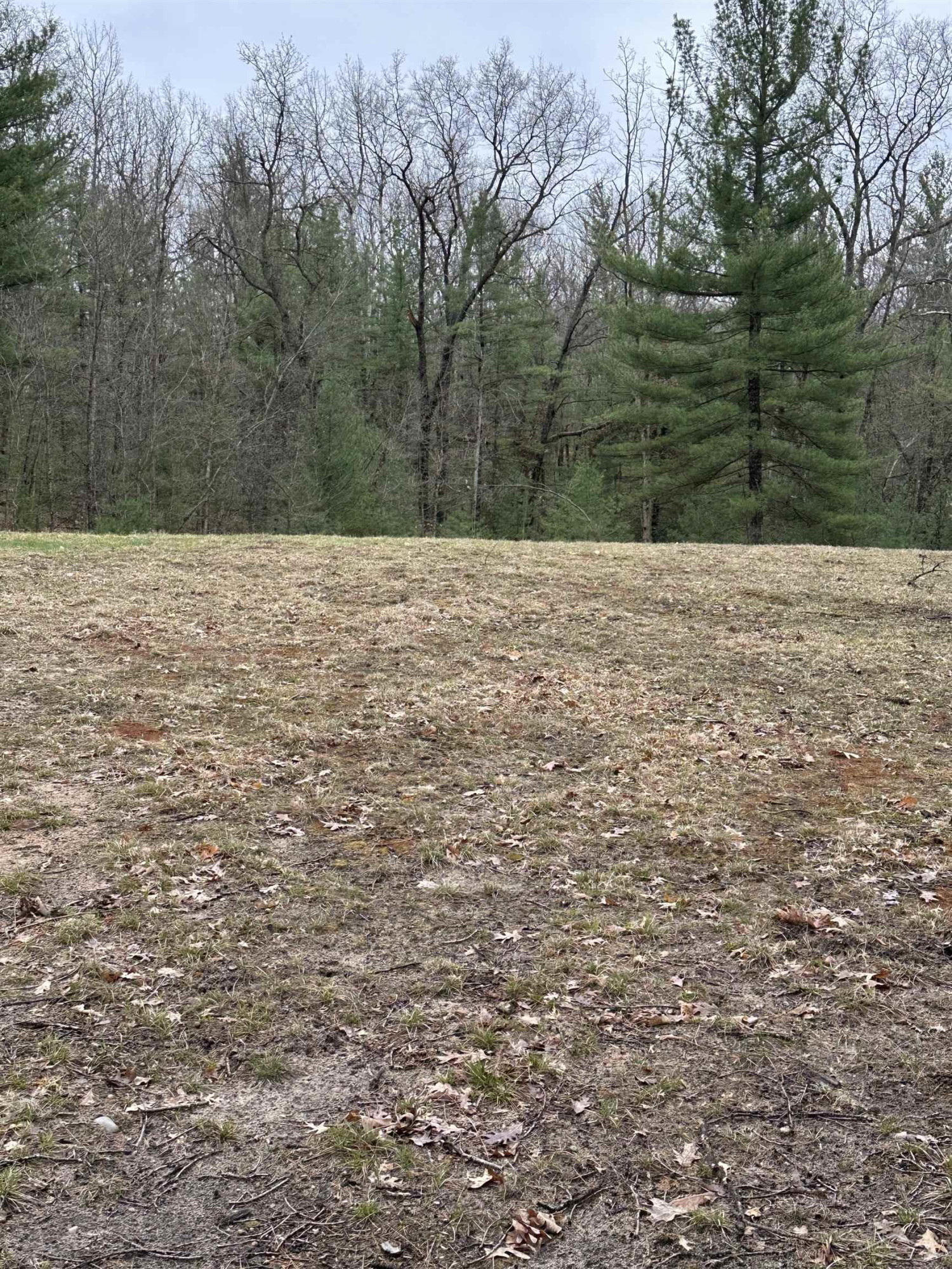 VL Pineview Court, Alger, MI 48610 — Photo 2