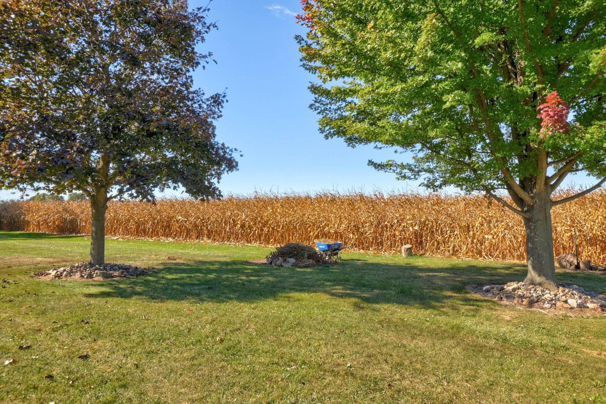 3364 S Reese Road, Frankenmuth, MI 48734 — Photo 29