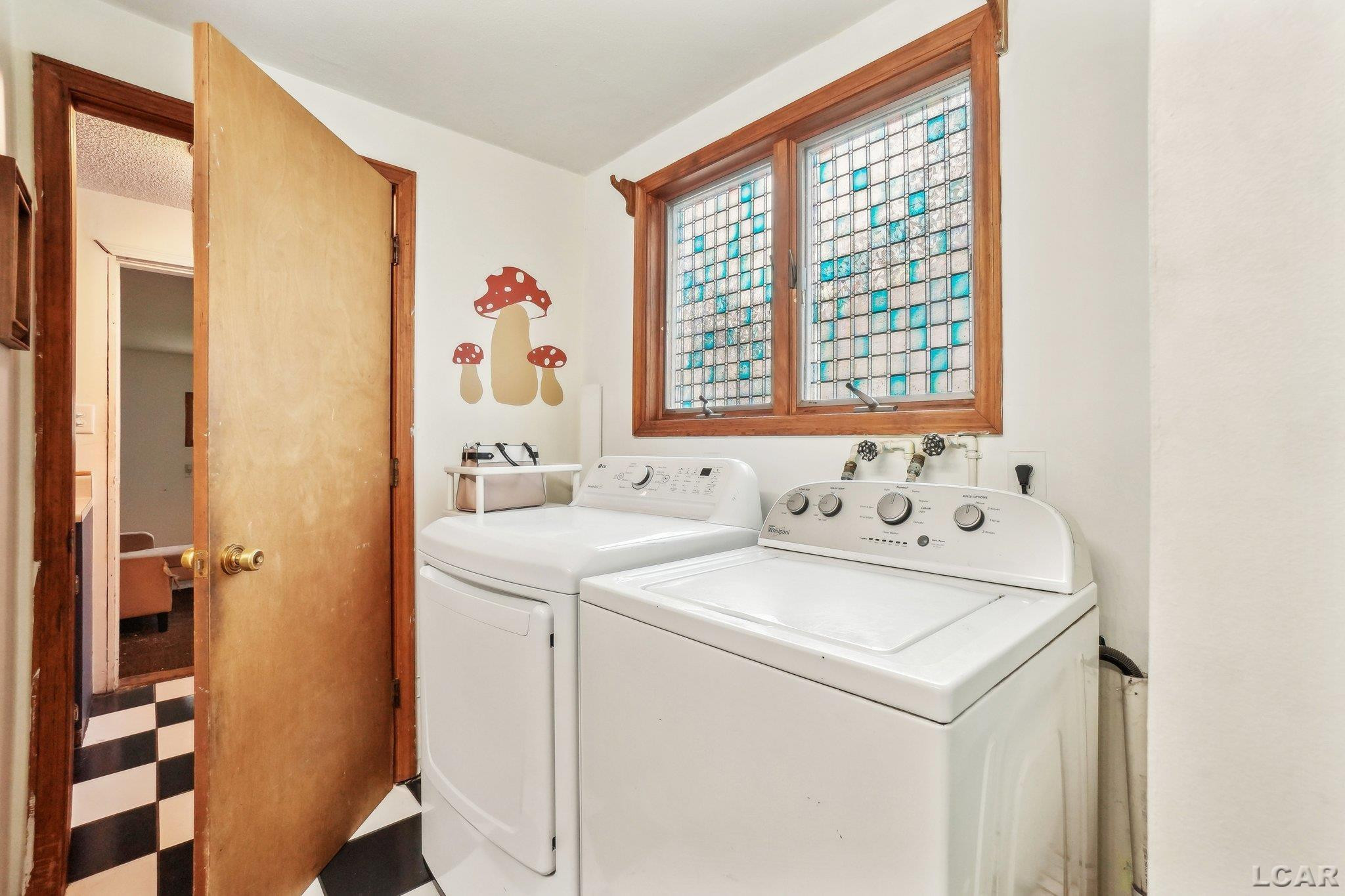 126 Litchfield Street, MI 49236 — Photo 16