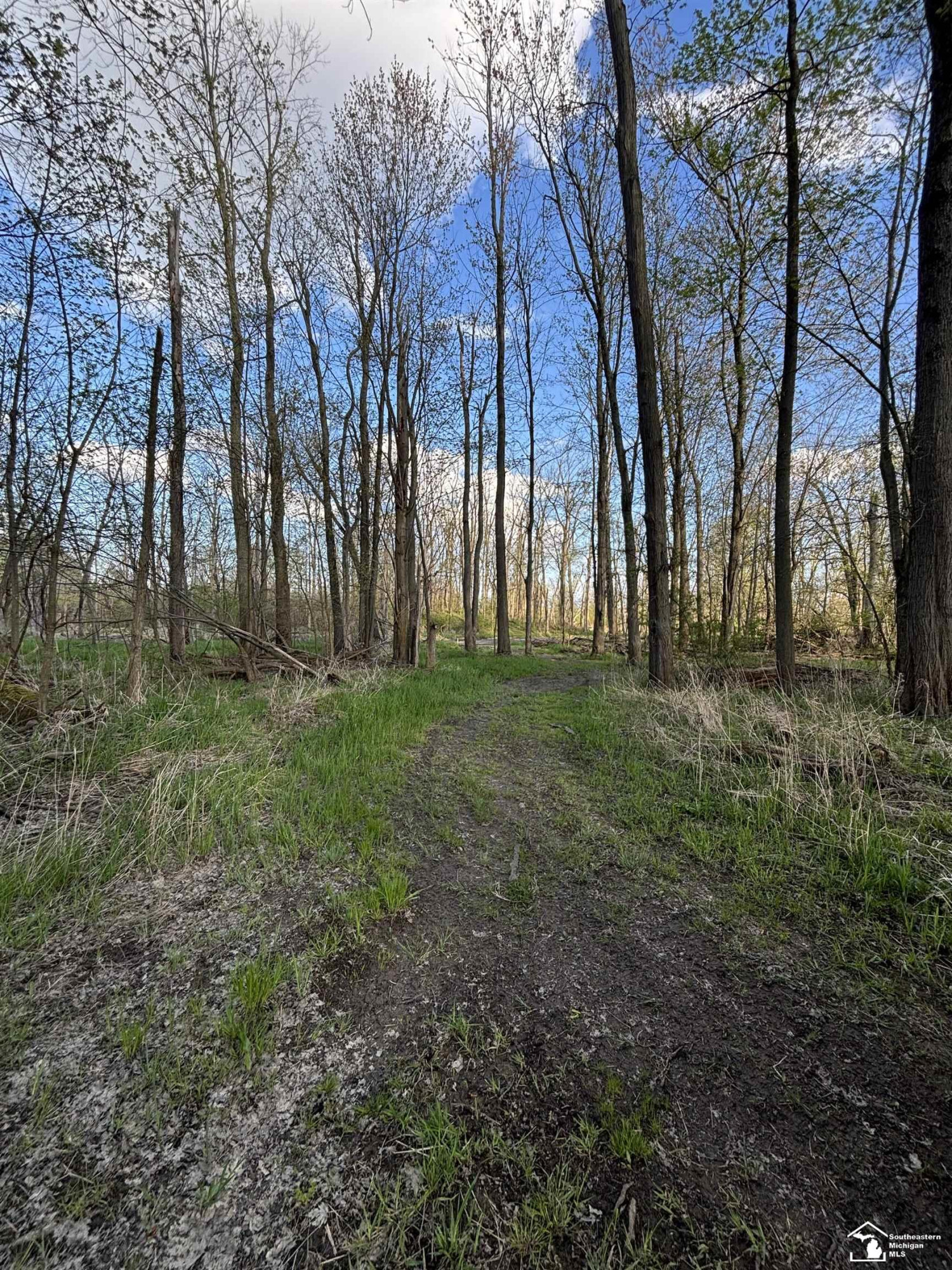 4635 Laplaisance Road, La Salle, MI — Photo 36