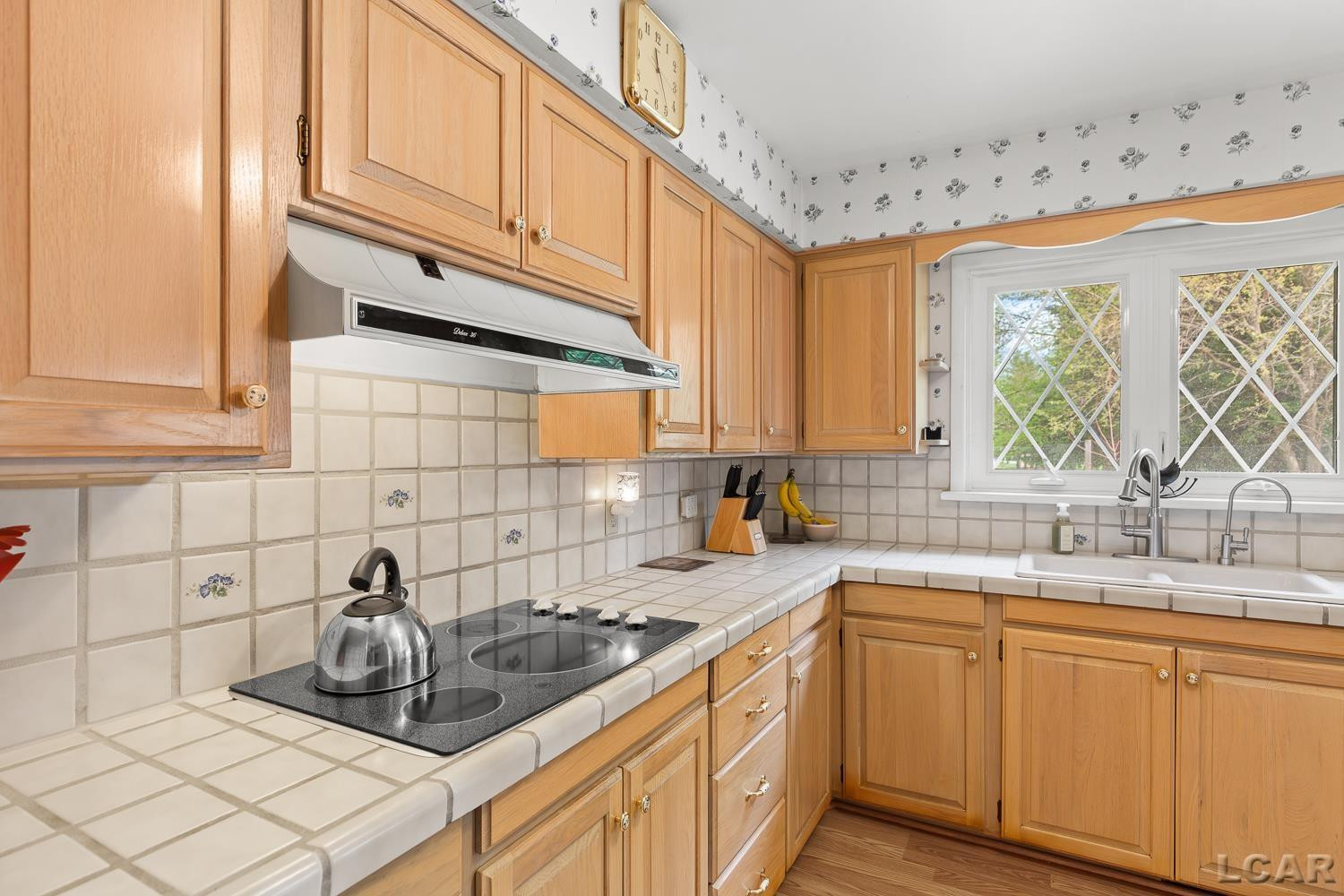 465 N Lane Street, Blissfield, MI 49228 — Photo 9