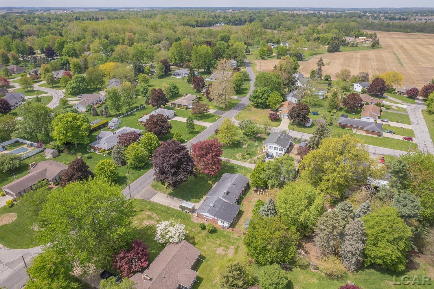 465 N Lane Street, Blissfield, MI 49228 — Photo 53