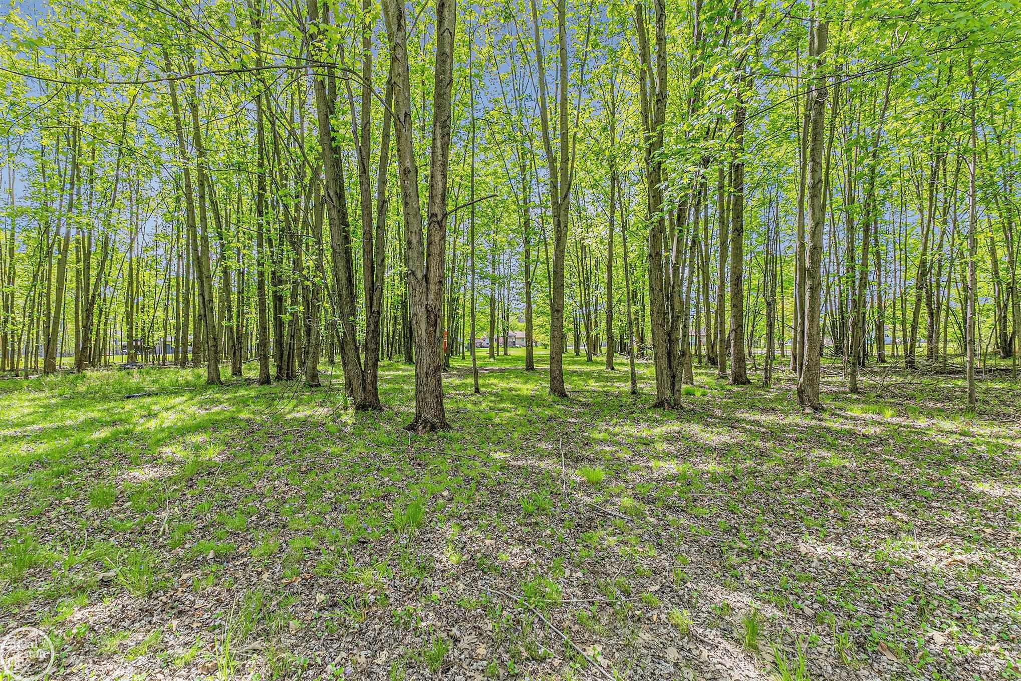 60520 Ray Center Road, MI — Photo 25