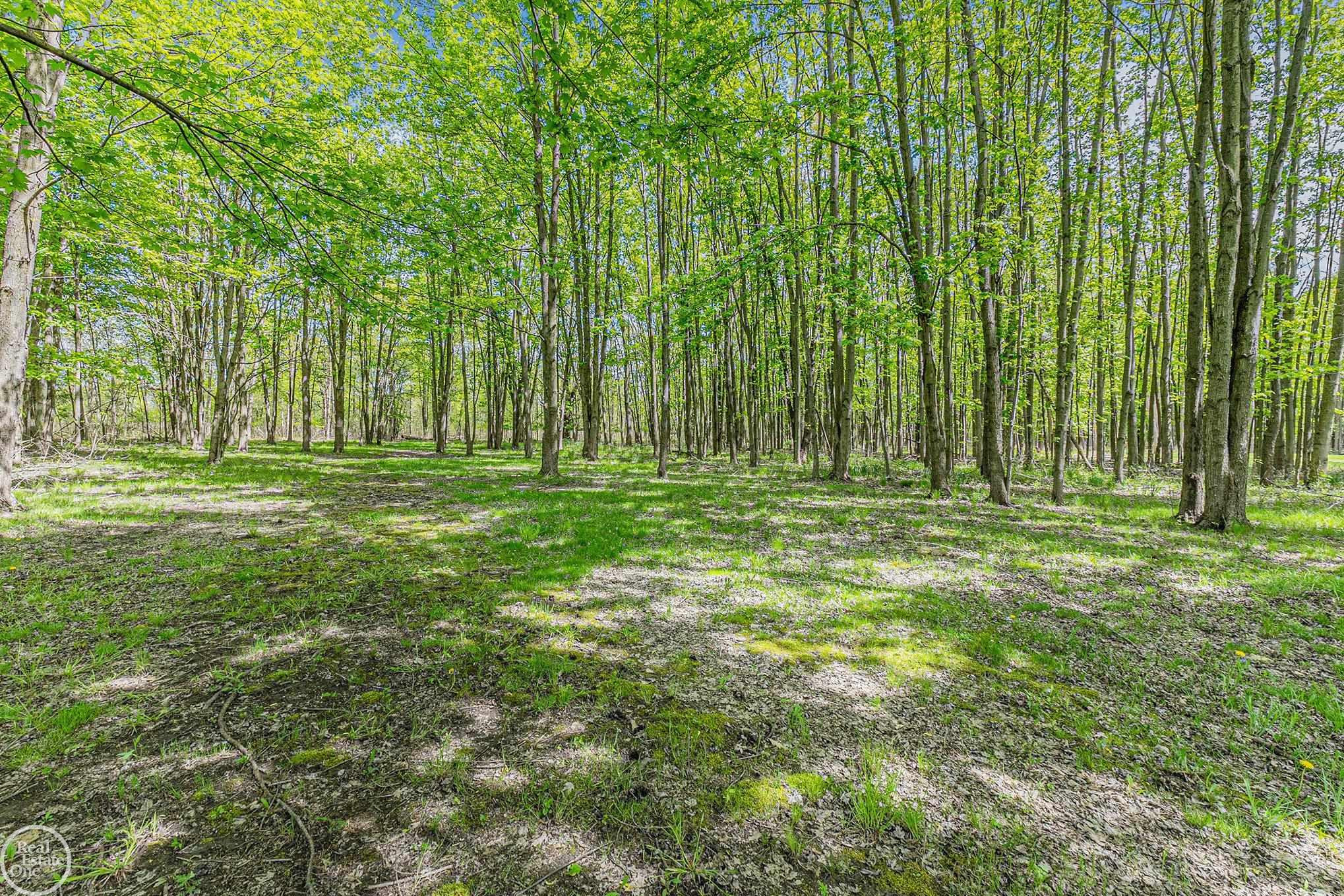 60520 Ray Center Road, MI — Photo 26