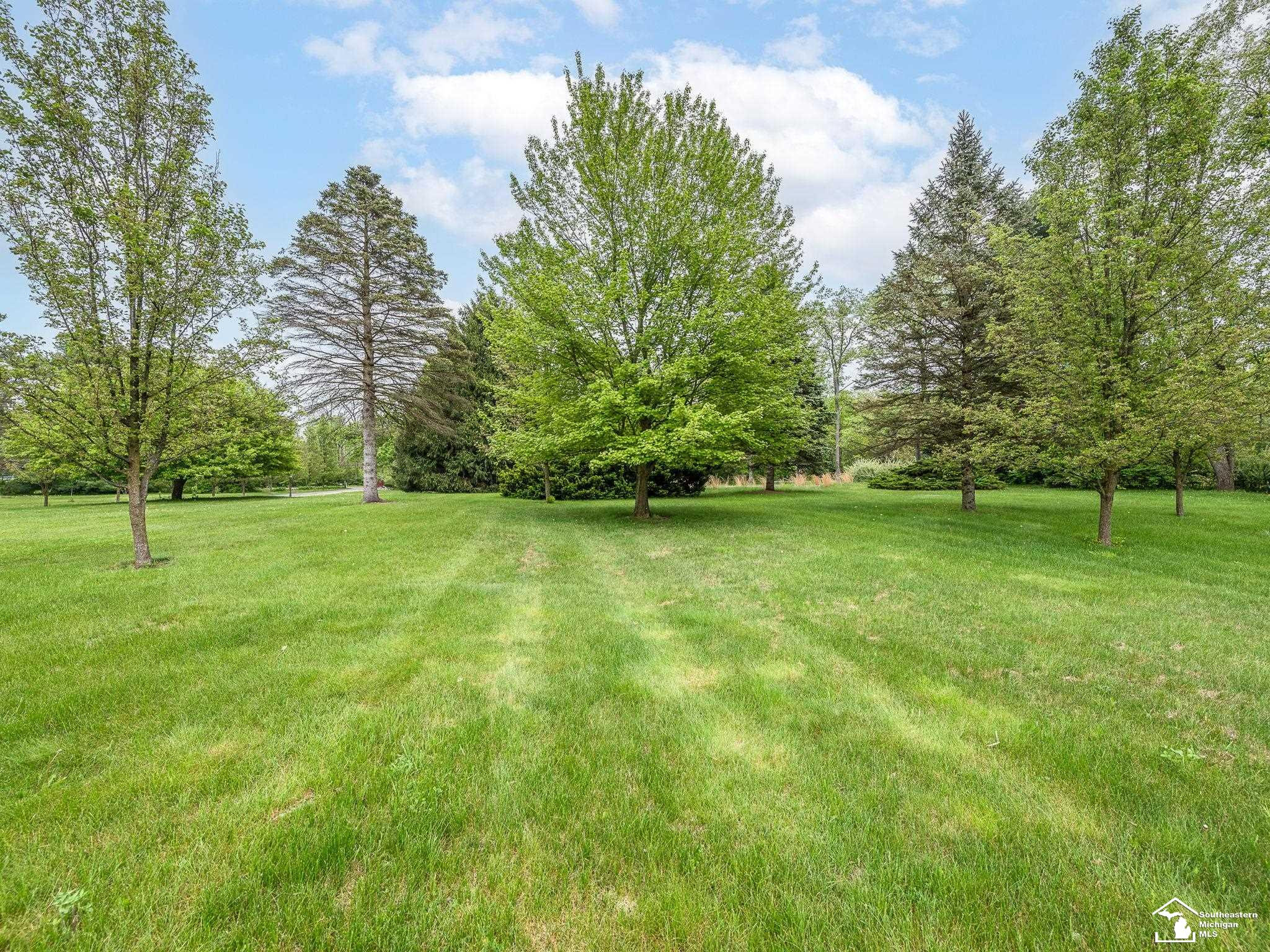 11370 Butler Road, Willis, MI 48191 — Photo 51