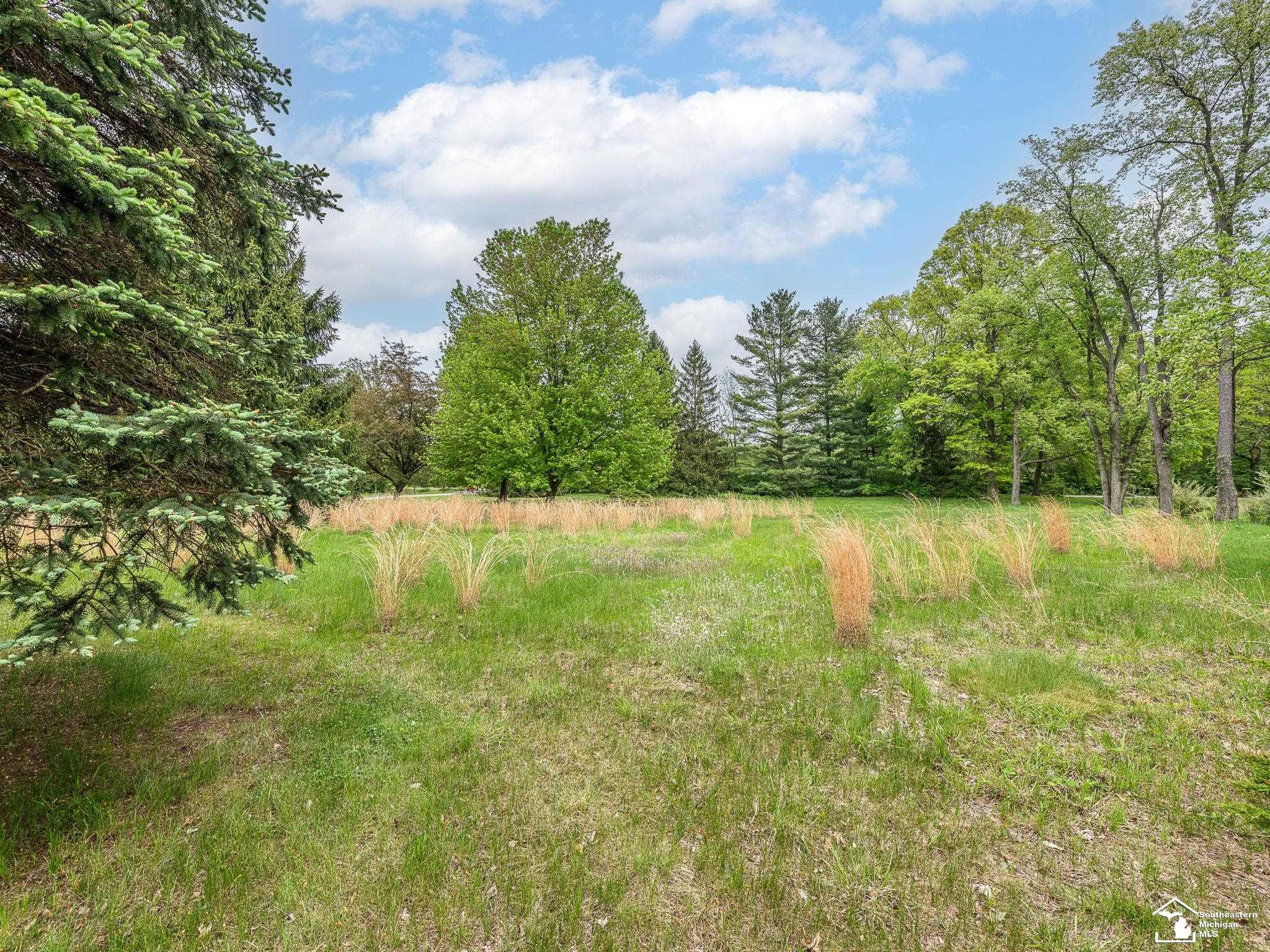 11370 Butler Road, Willis, MI 48191 — Photo 53