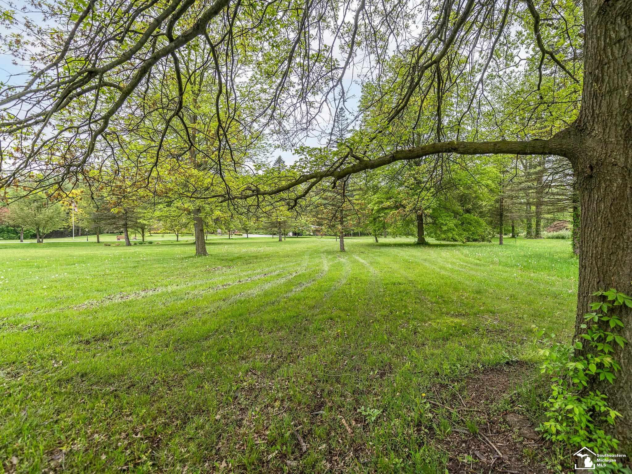 11370 Butler Road, Willis, MI 48191 — Photo 56