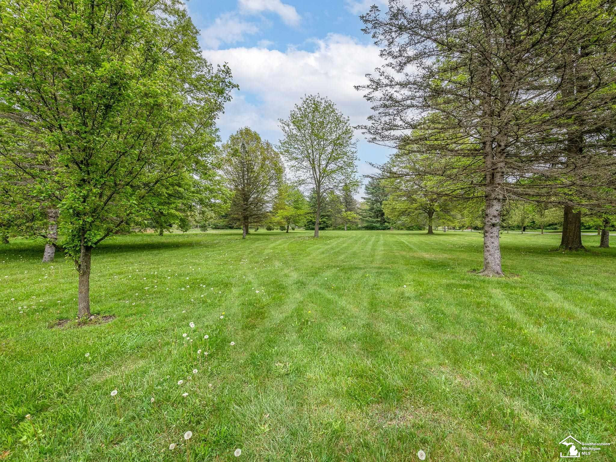 11370 Butler Road, Willis, MI 48191 — Photo 57