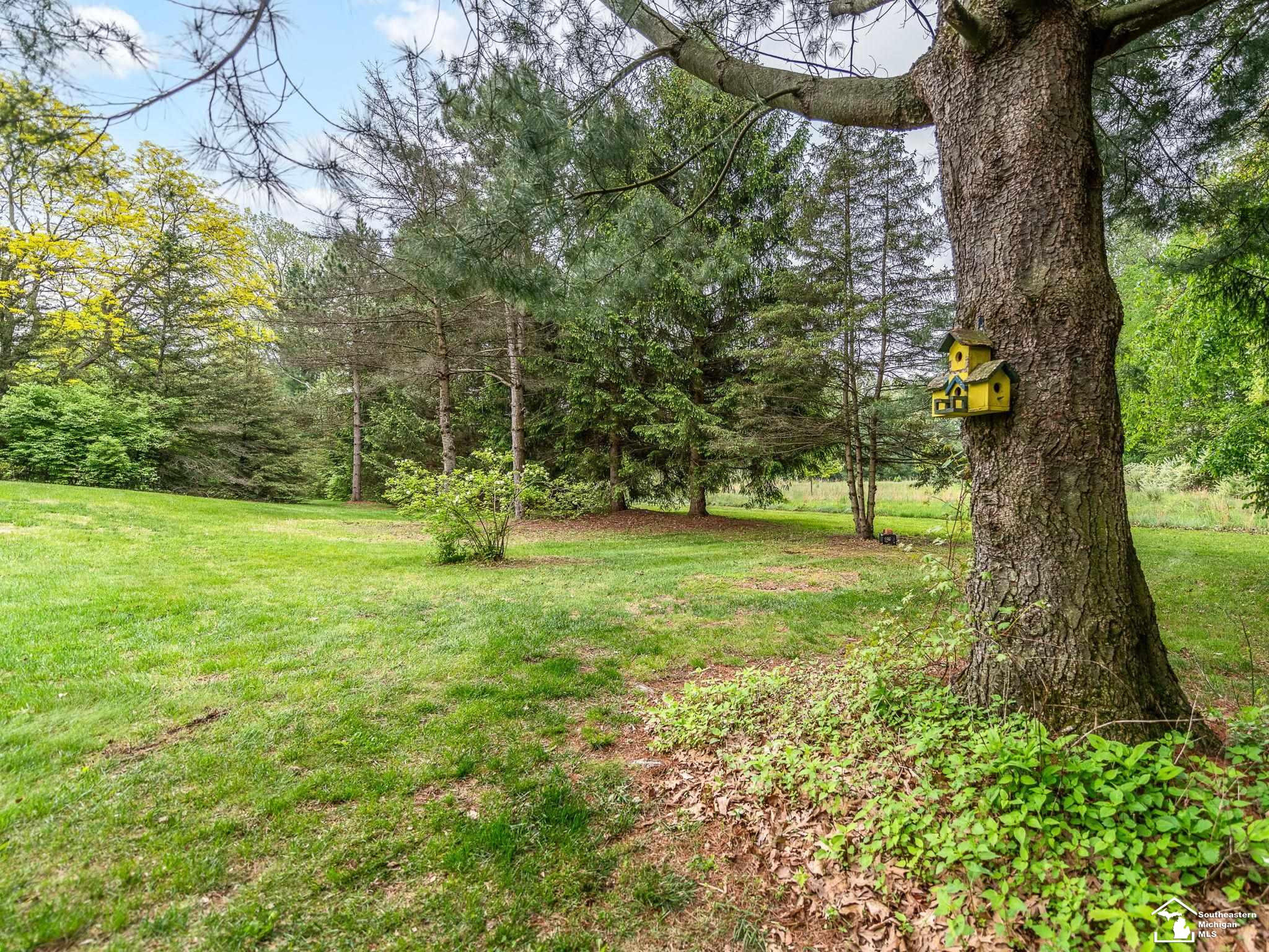 11370 Butler Road, Willis, MI 48191 — Photo 59