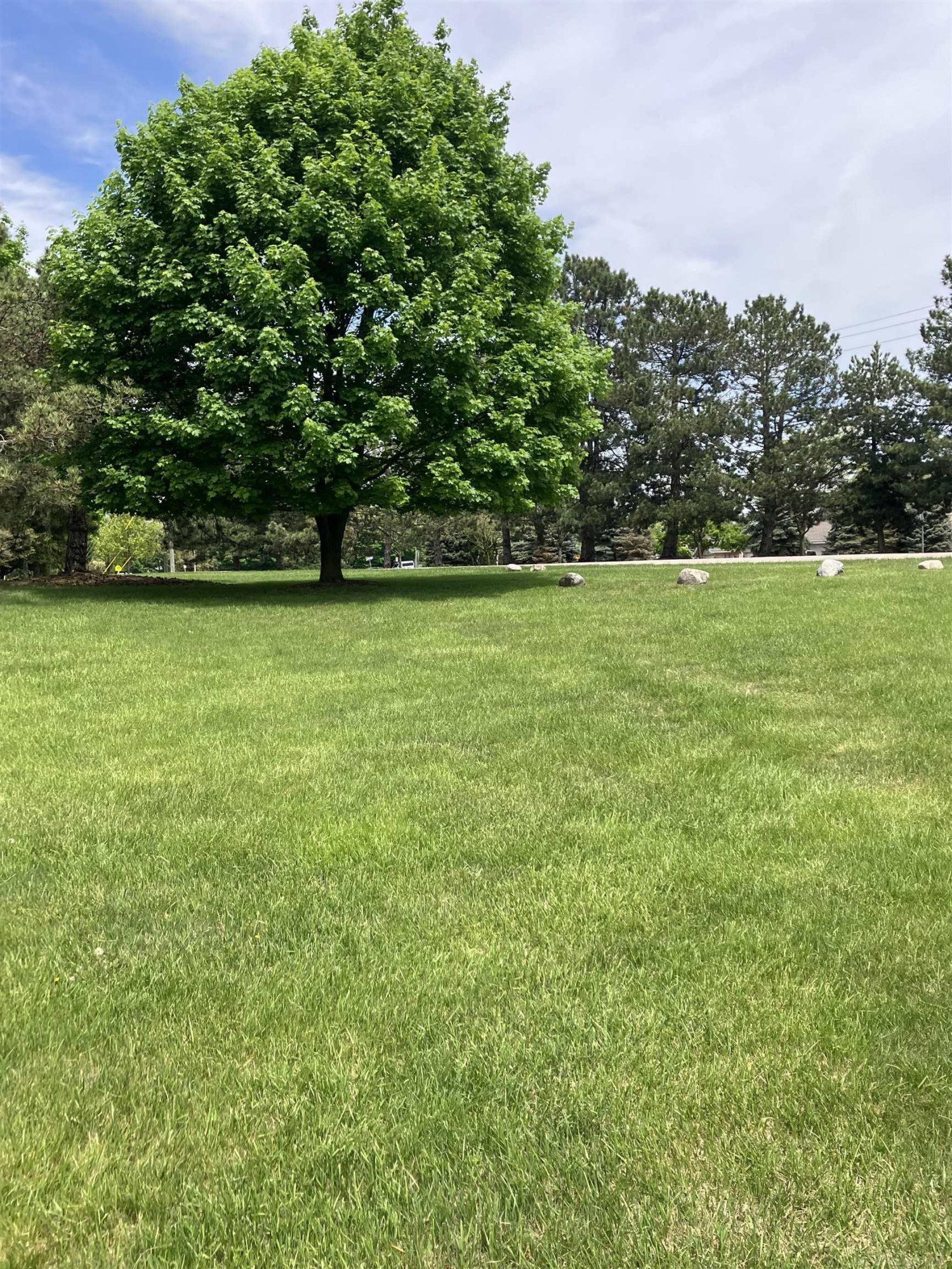 1240 Charleston Court, Northville, MI 48167 — Photo 74