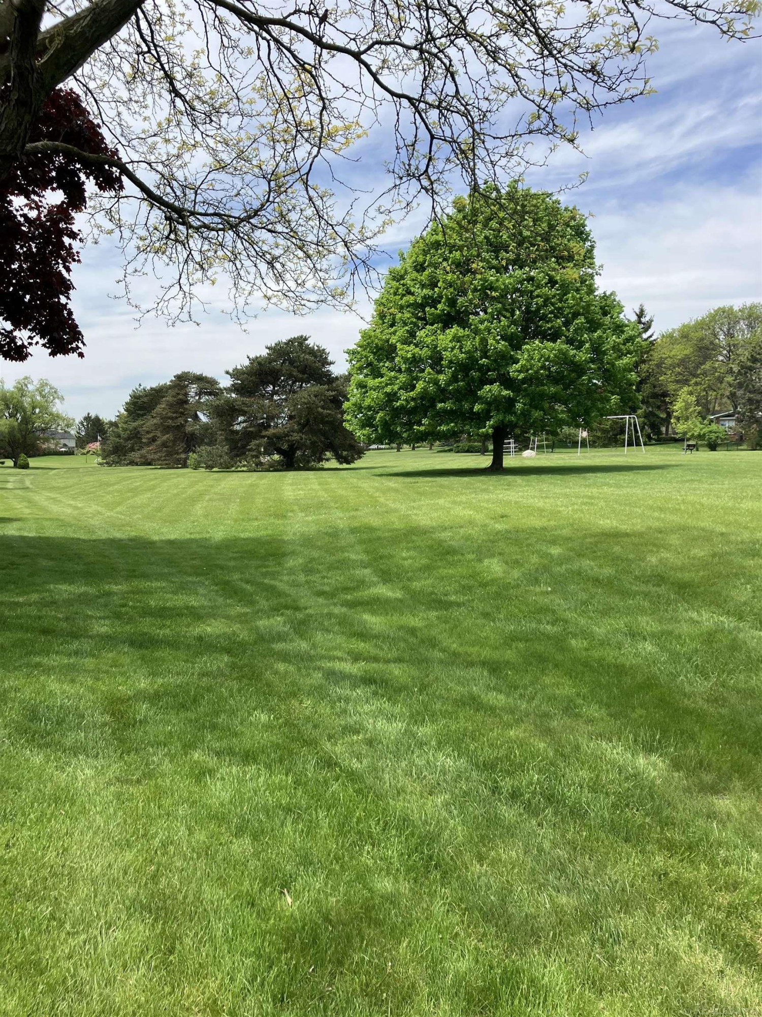 1240 Charleston Court, Northville, MI 48167 — Photo 75