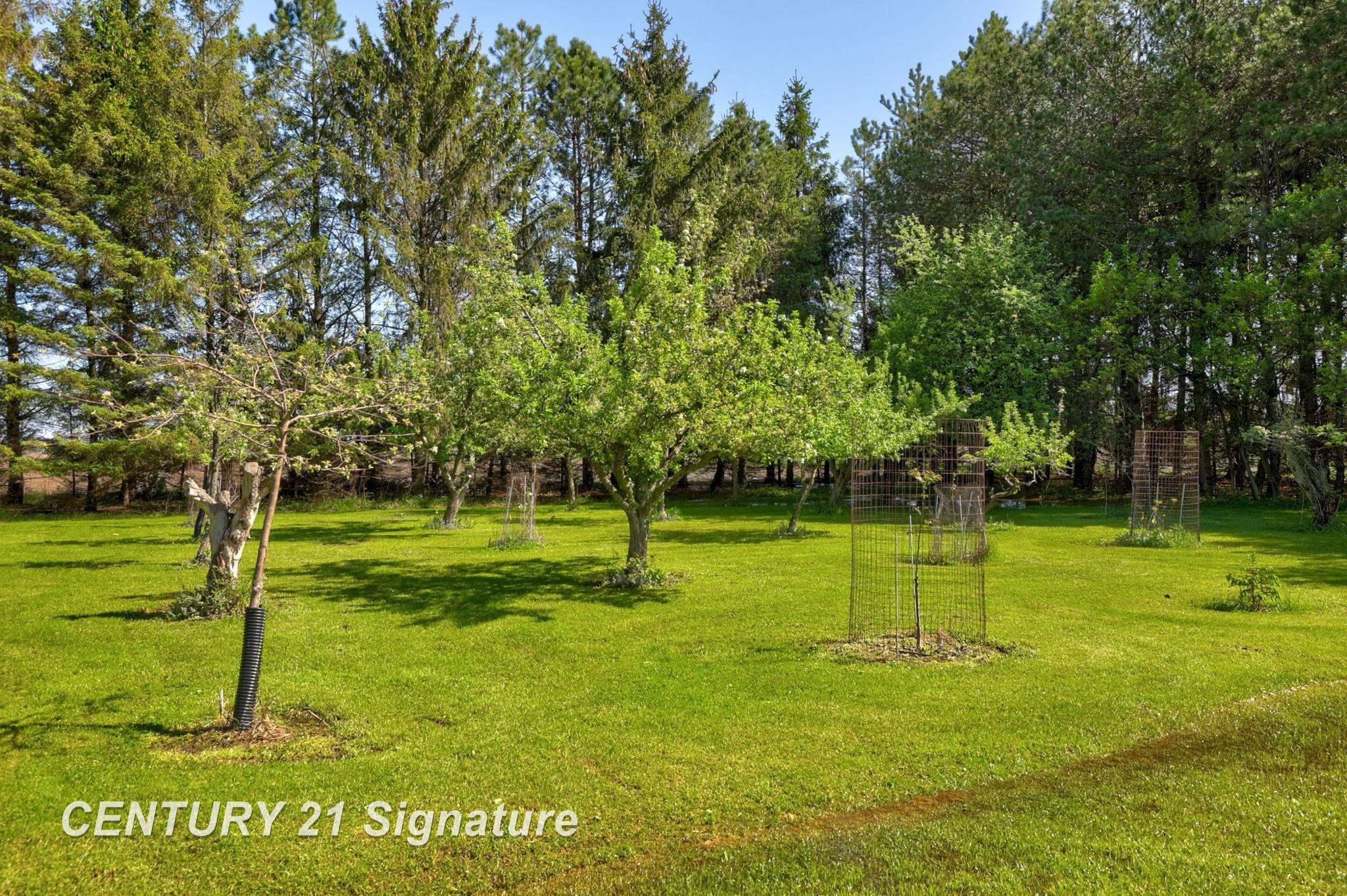 4285 N Iva Road, Hemlock, MI 48626 — Photo 86