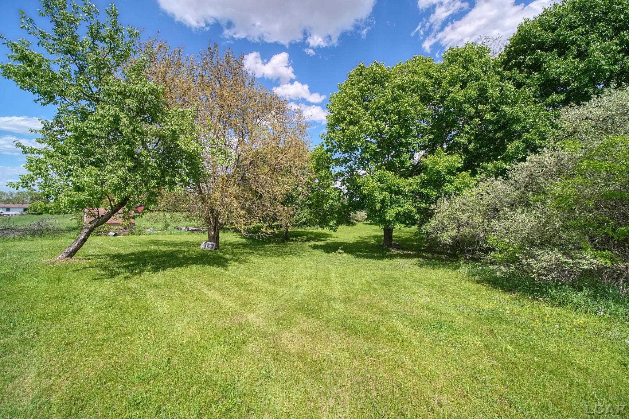 5811 Kothe Road, Manchester, MI 48158 — Photo 46