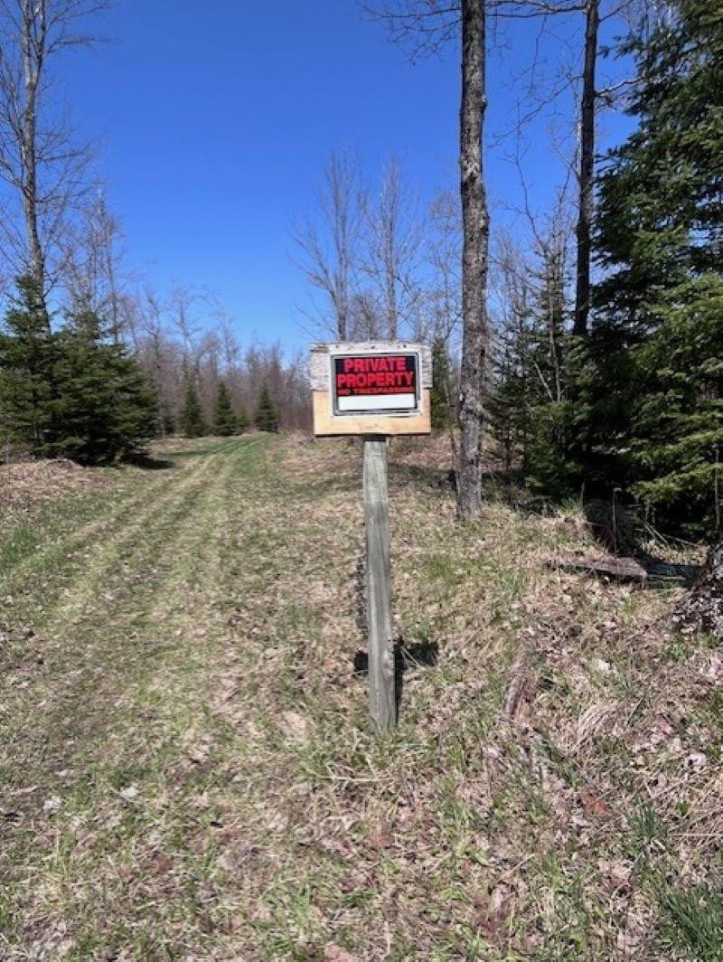TBD 00 Camp 23 Road Road, Germfask, MI 49836 — Photo 7