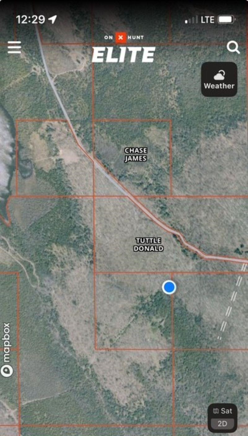 TBD 00 Camp 23 Road Road, Germfask, MI 49836 — Photo 11