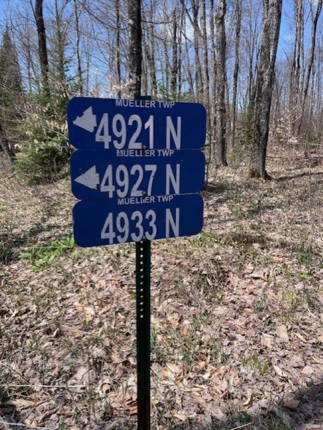 TBD 00 Camp 23 Road Road, Germfask, MI 49836 — Photo 12