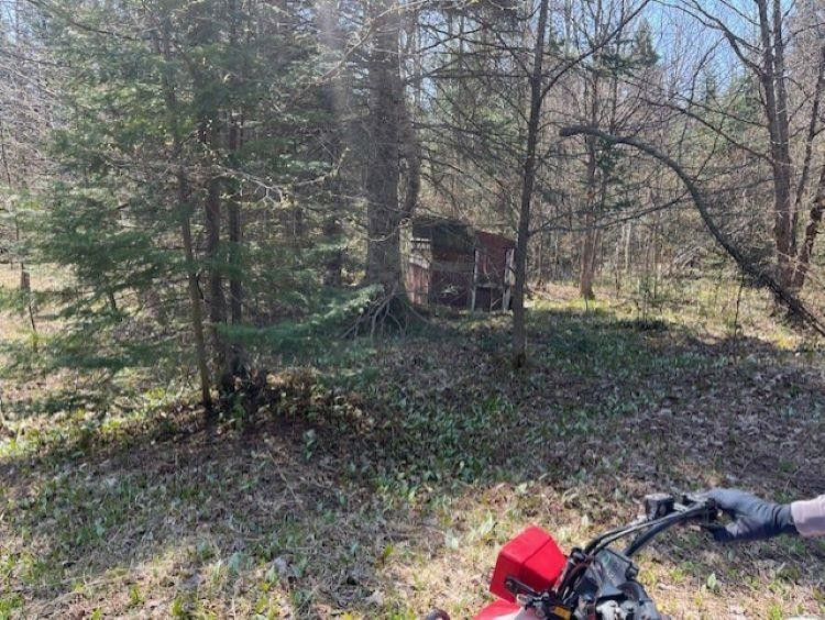 TBD 00 Camp 23 Road Road, Germfask, MI 49836 — Photo 13