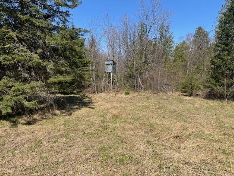 TBD 00 Camp 23 Road Road, Germfask, MI 49836 — Photo 14