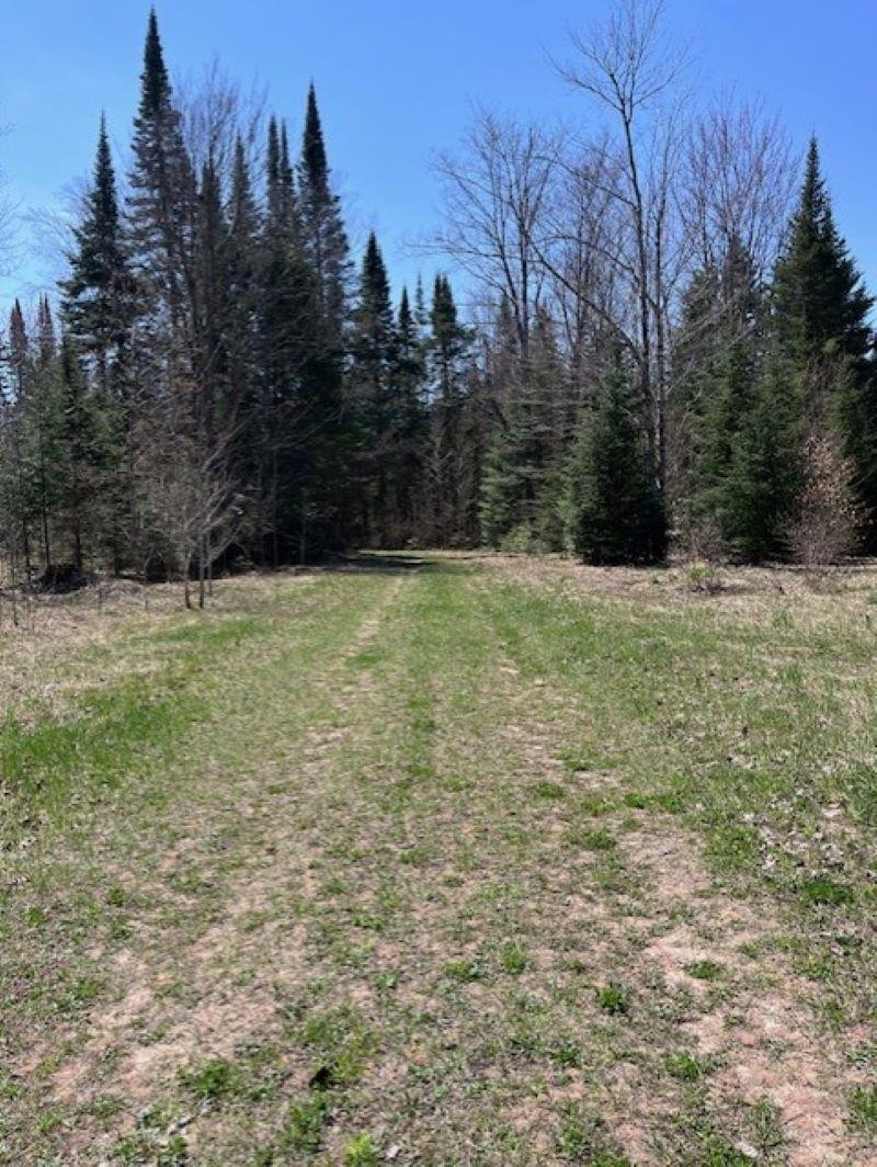 TBD 00 Camp 23 Road Road, Germfask, MI 49836 — Photo 15