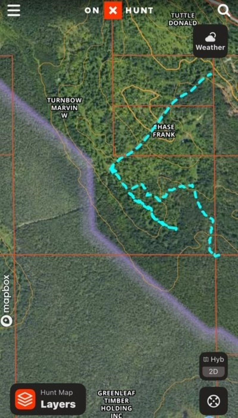 TBD 00 Camp 23 Road Road, Germfask, MI 49836 — Photo 16